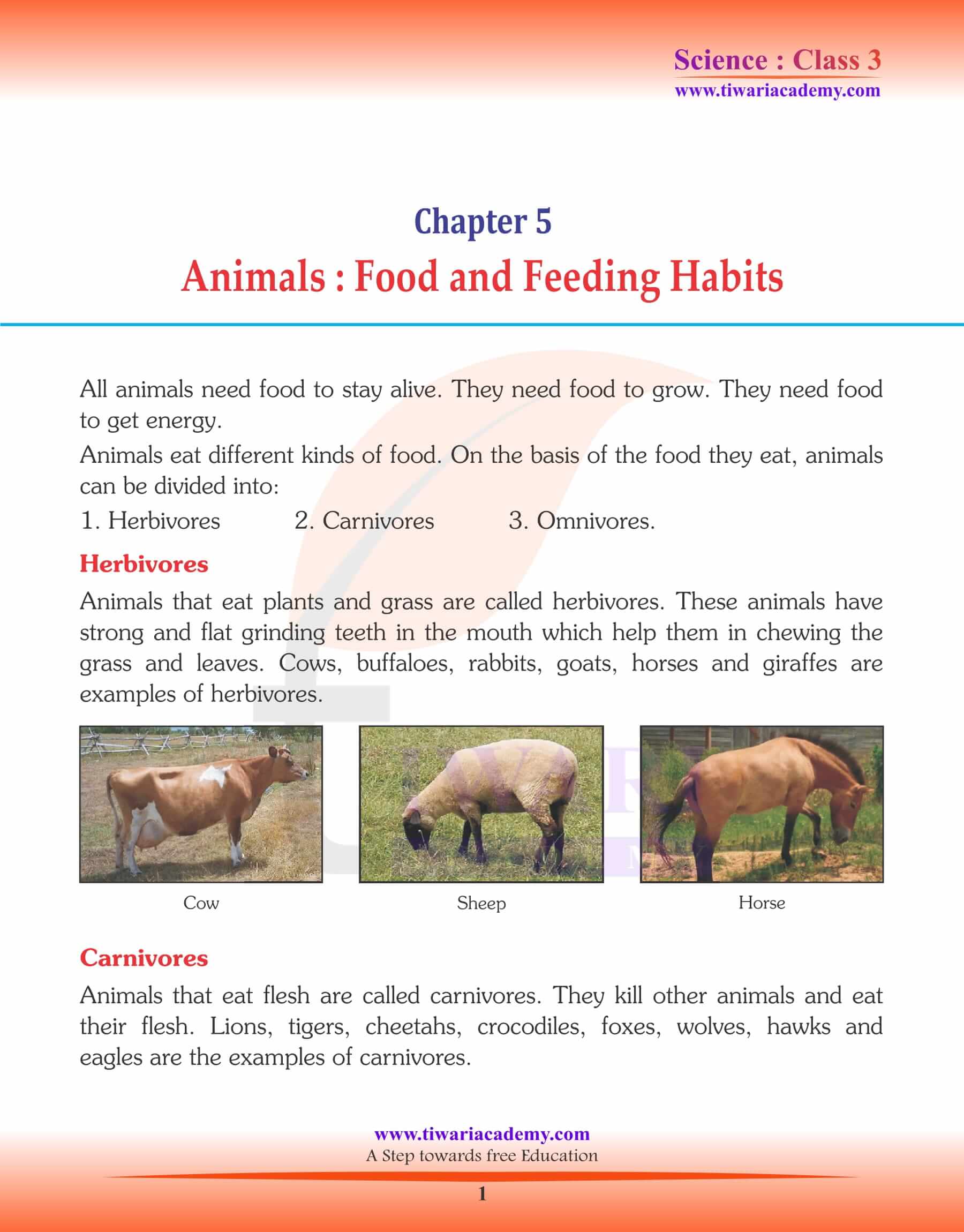 Class 3 Science Chapter 5 Animals - Food and Feeding Habits