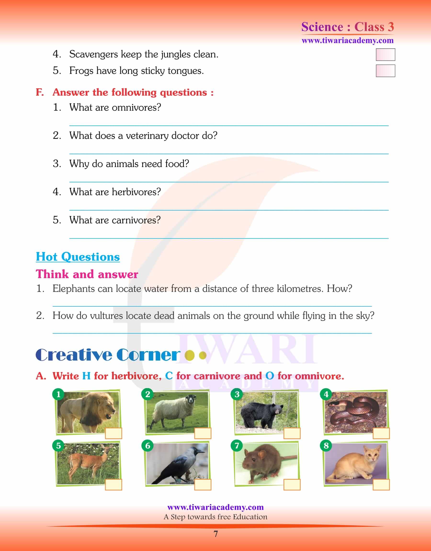 Solutions for Class 3 Science Chapter 5 Animals Food Feeding Habits.
