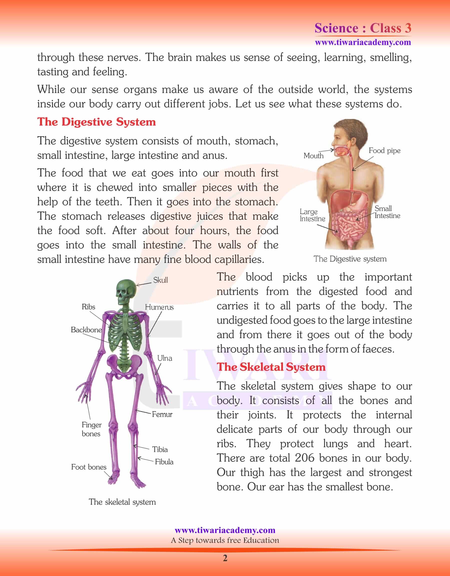 Class 3 Science Chapter 6 Our Body