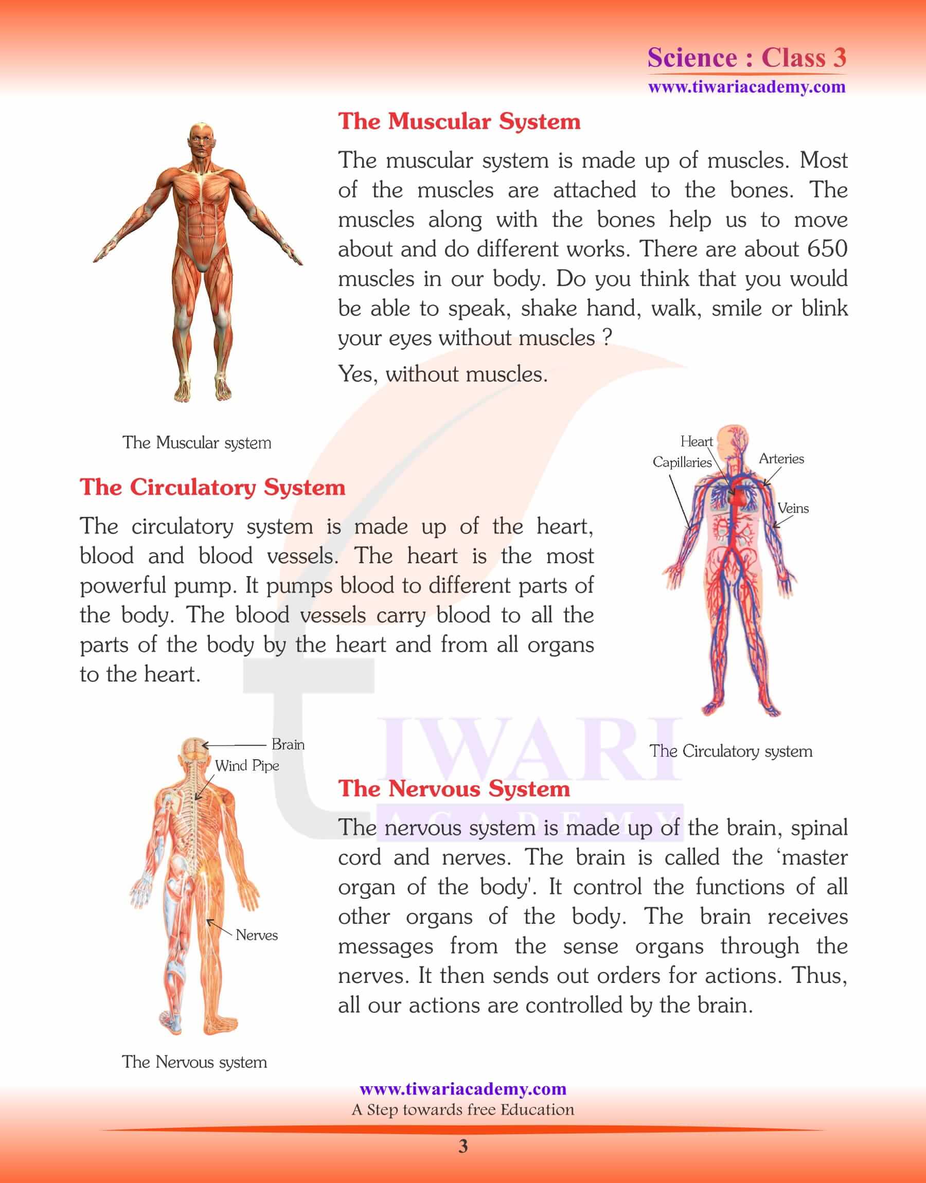 Class 3 Science Chapter 6