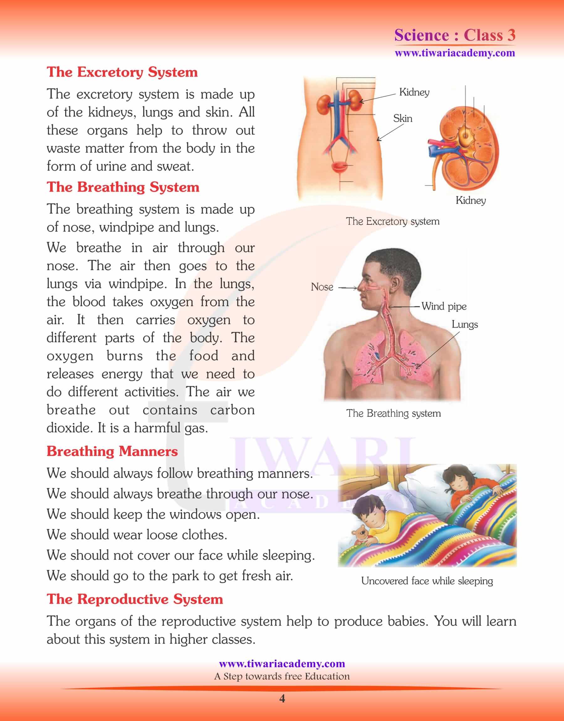 Class 3 Science Our Body
