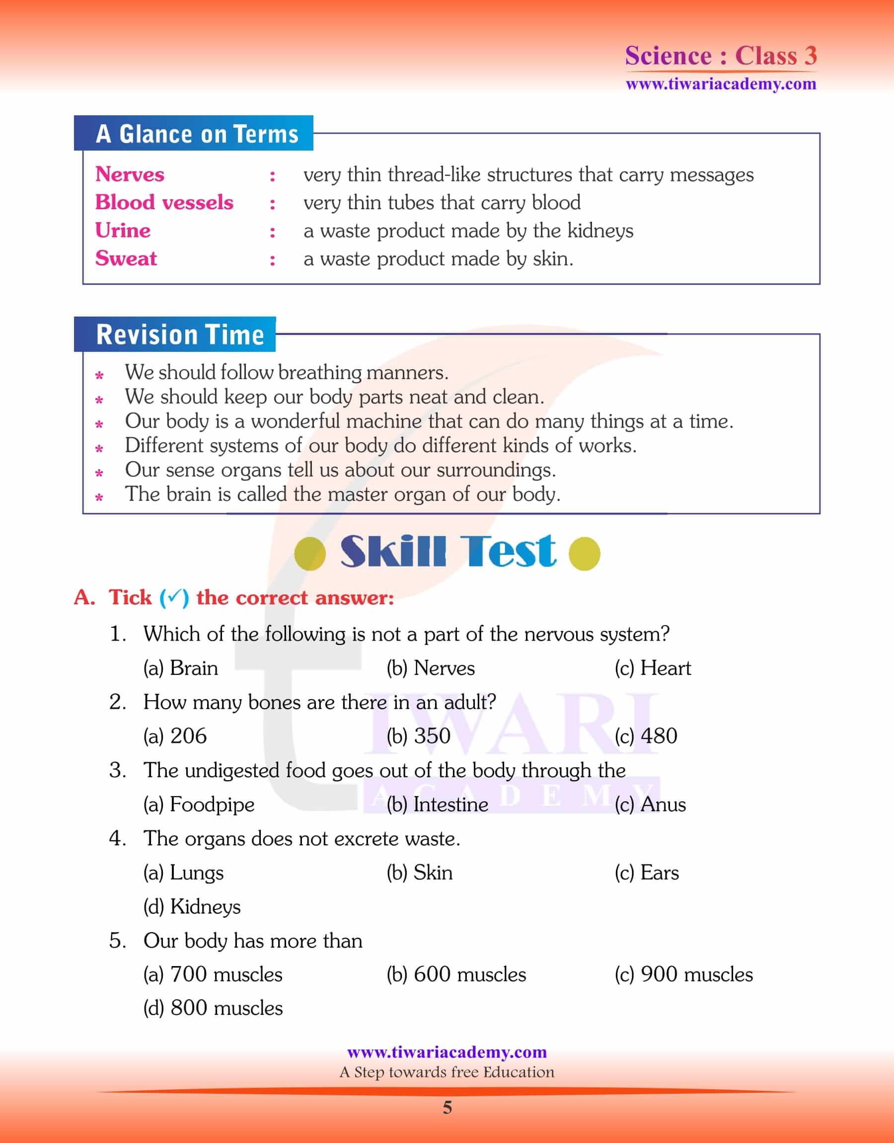 Class 3 Science Chapter 6 question answers