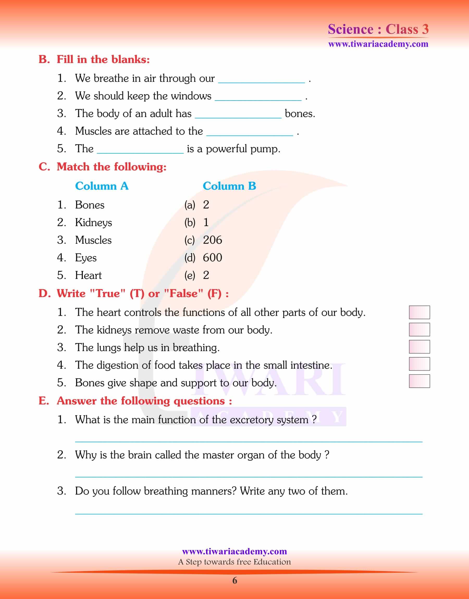 Class 3 Science Chapter 6 worksheets