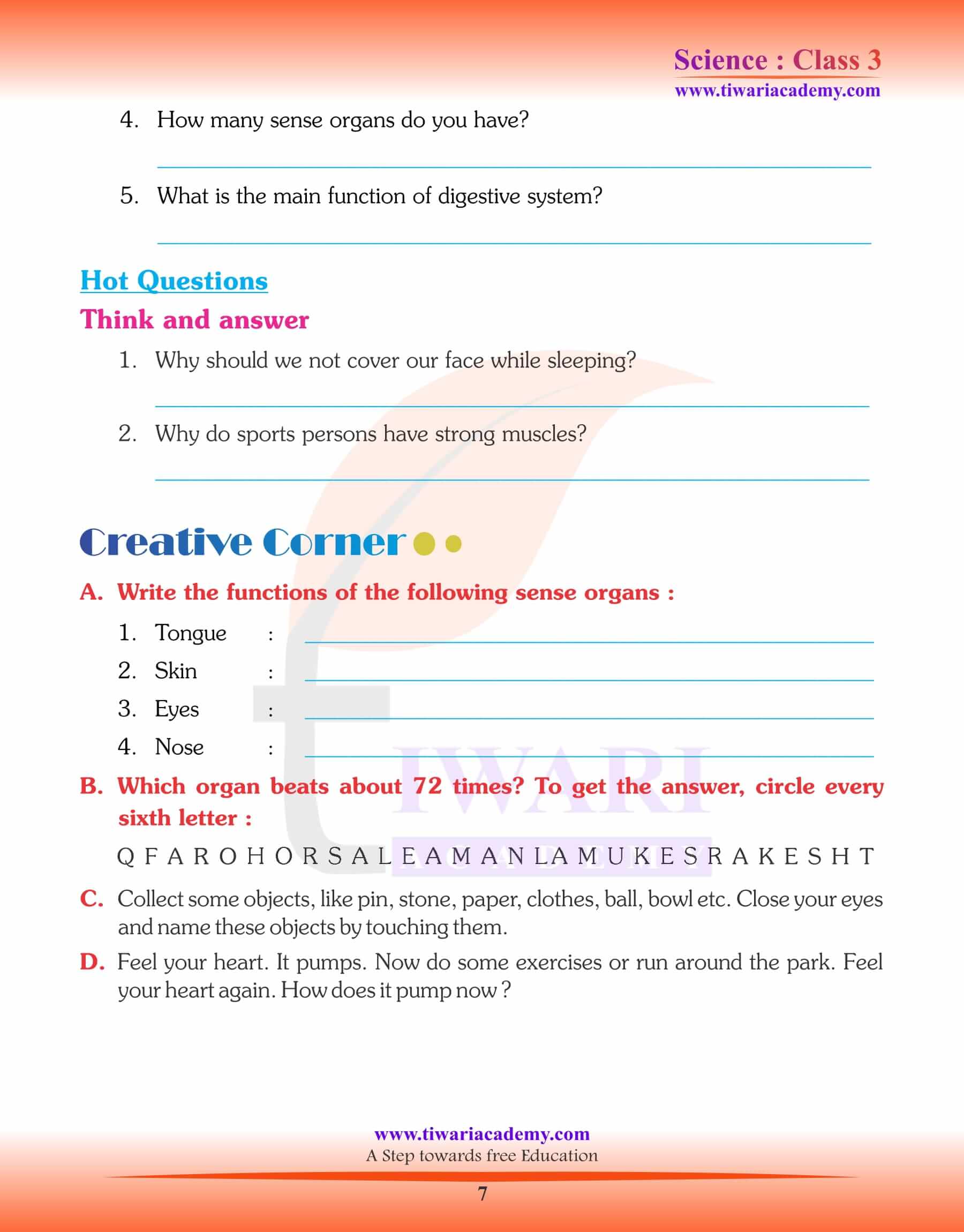 Class 3 Science Chapter 6 assignements