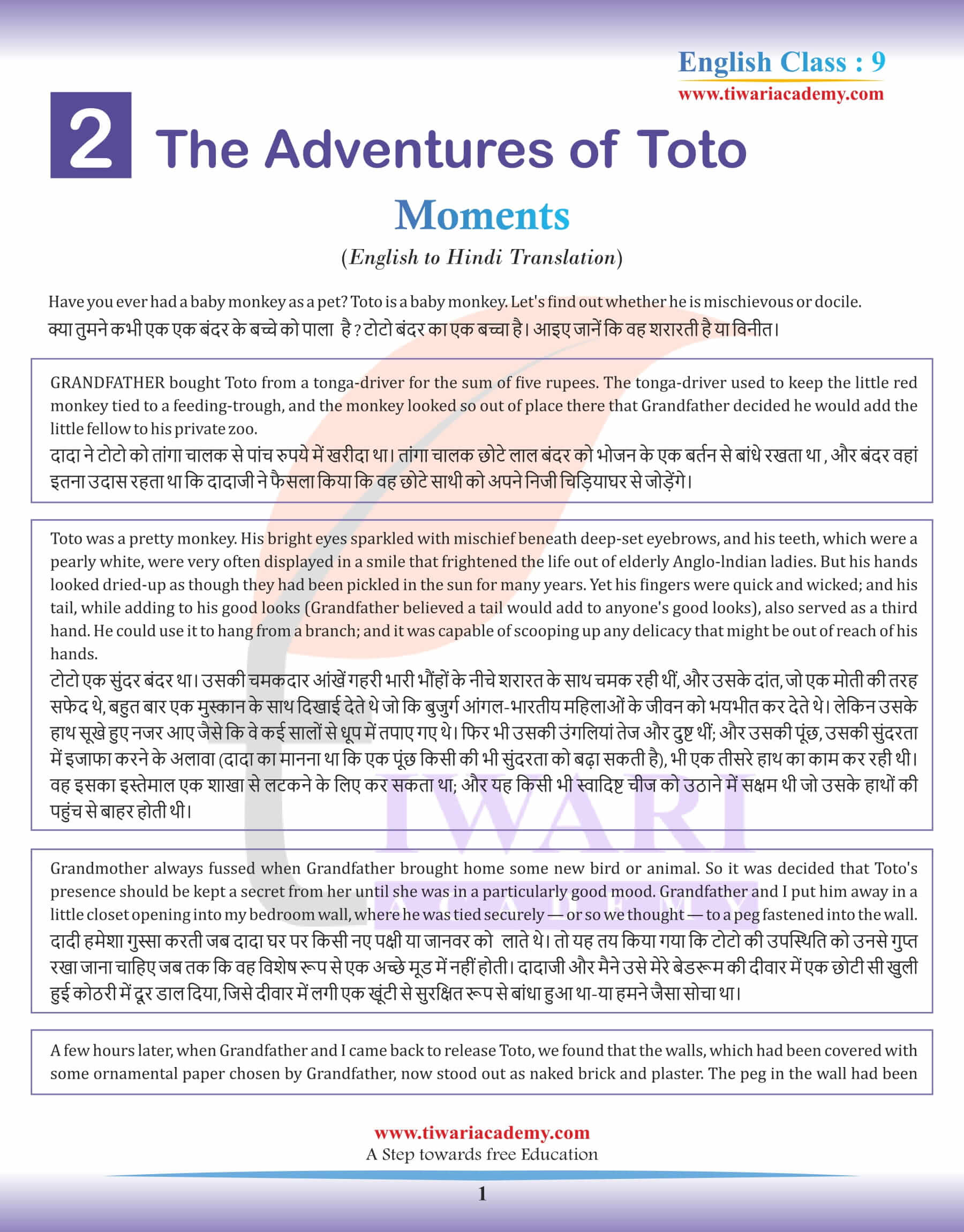 Adventure of Toto