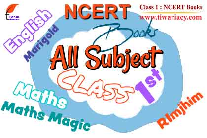 Step 4: Focus on NCERT Books only for Class 1 Study.