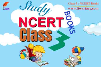 HF LOOKING AROUND EVS WORK BOOK 3 NCERT
