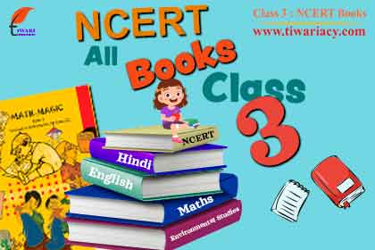 Step 3: Download Class 3 Maths Math-Magic Part 3 for Practice.