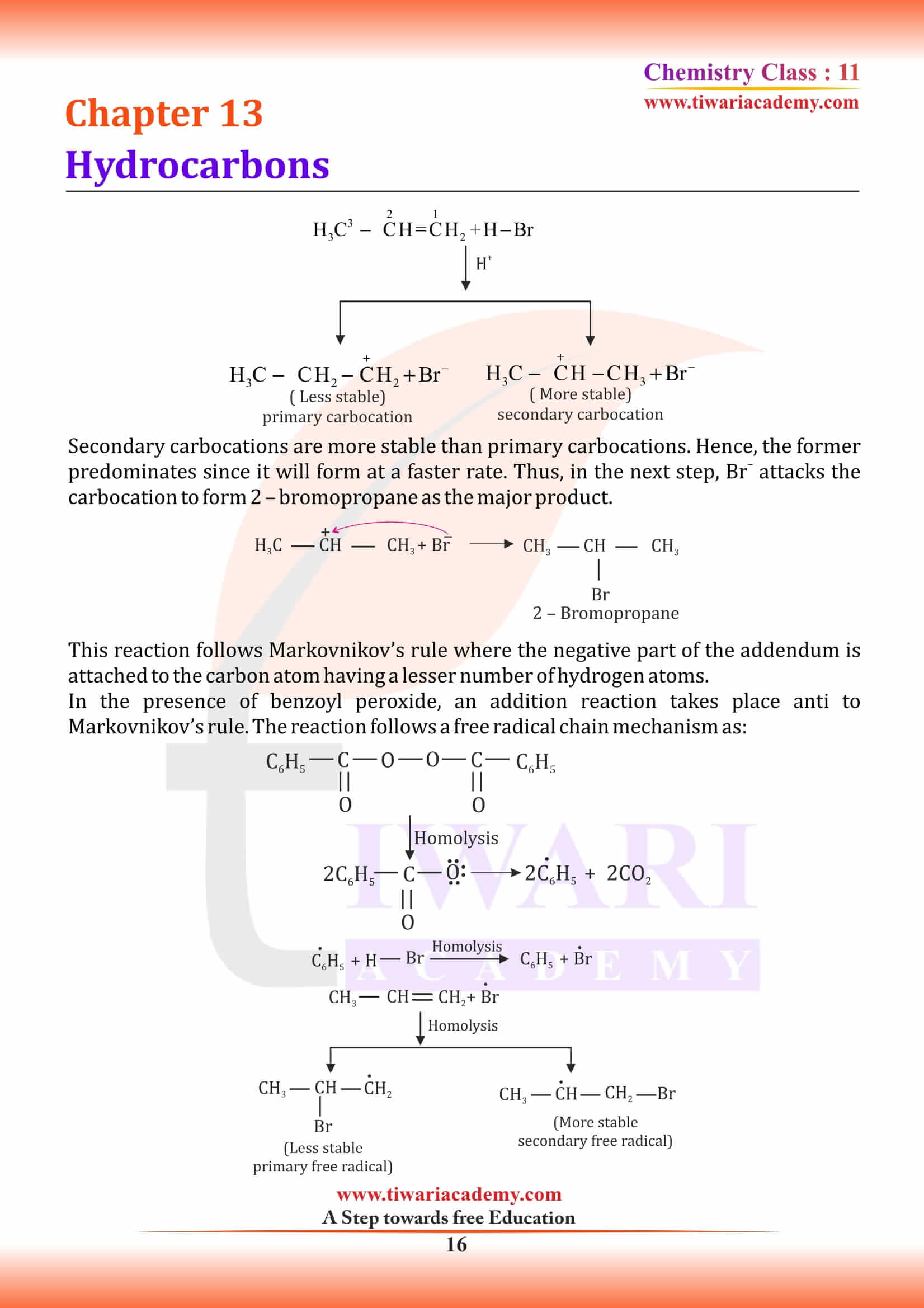 Class 11 Chemistry Chapter 13 NCERT Solutions in PDF