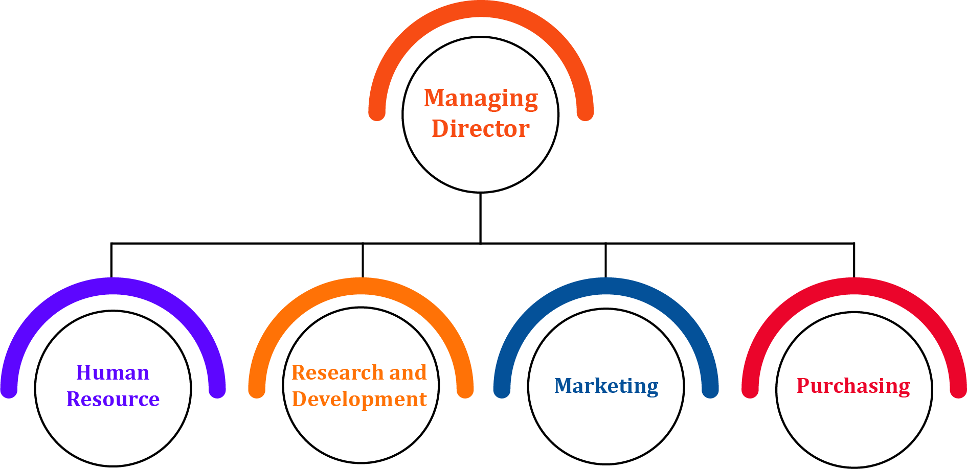 A functional structure of Management