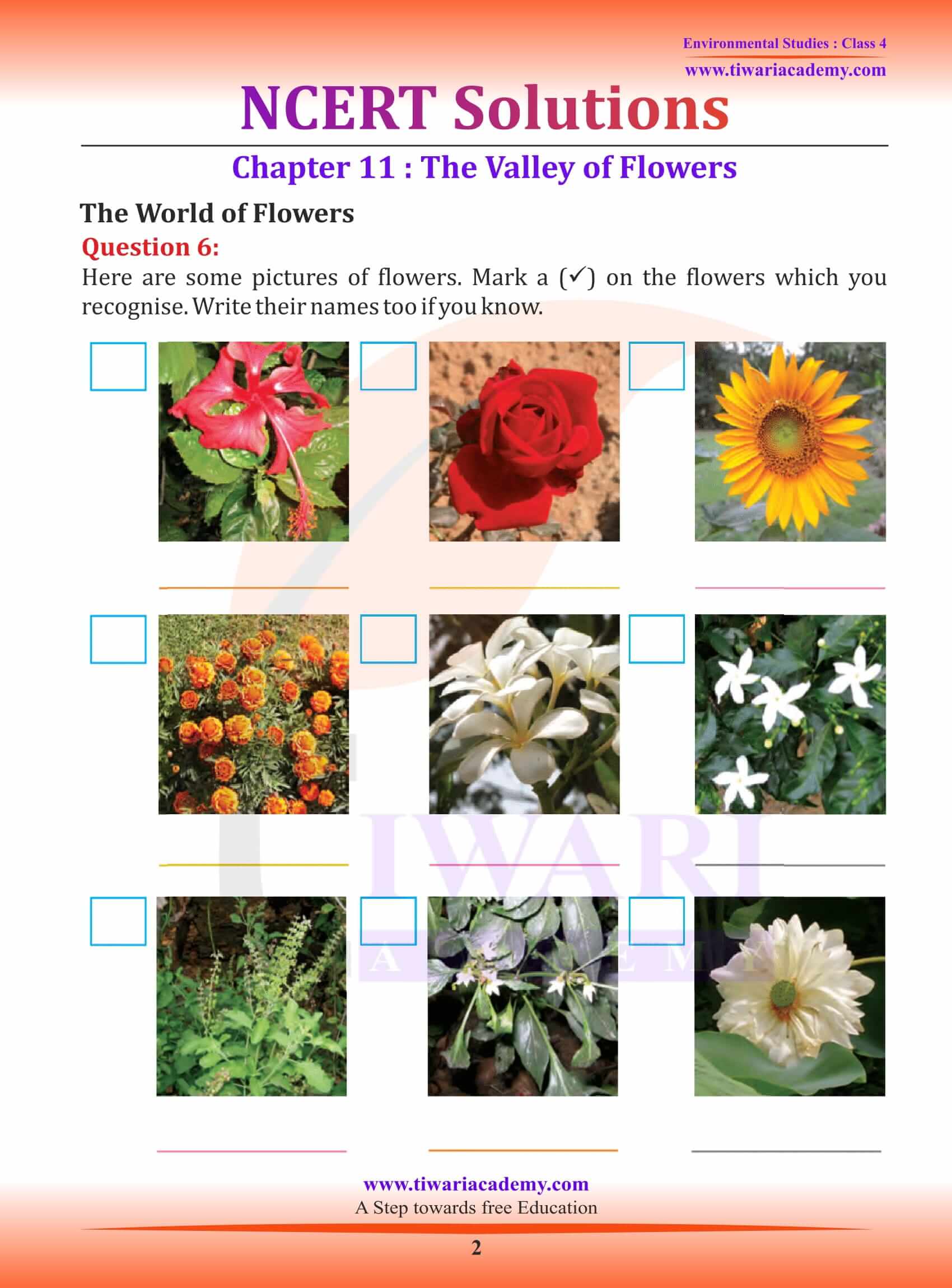 Class 4 EVS Chapter 11 The Valley of Flowers