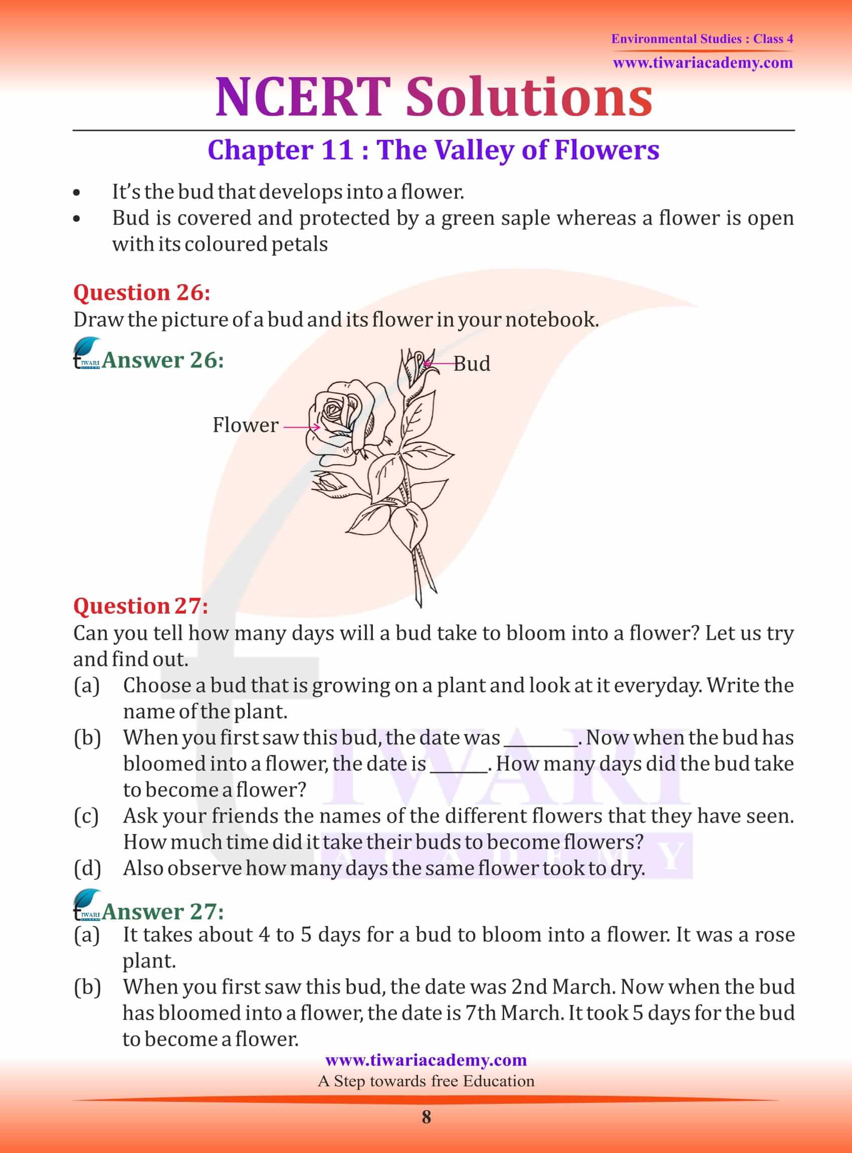 NCERT Solutions for Class 4 EVS Chapter 11 free guide