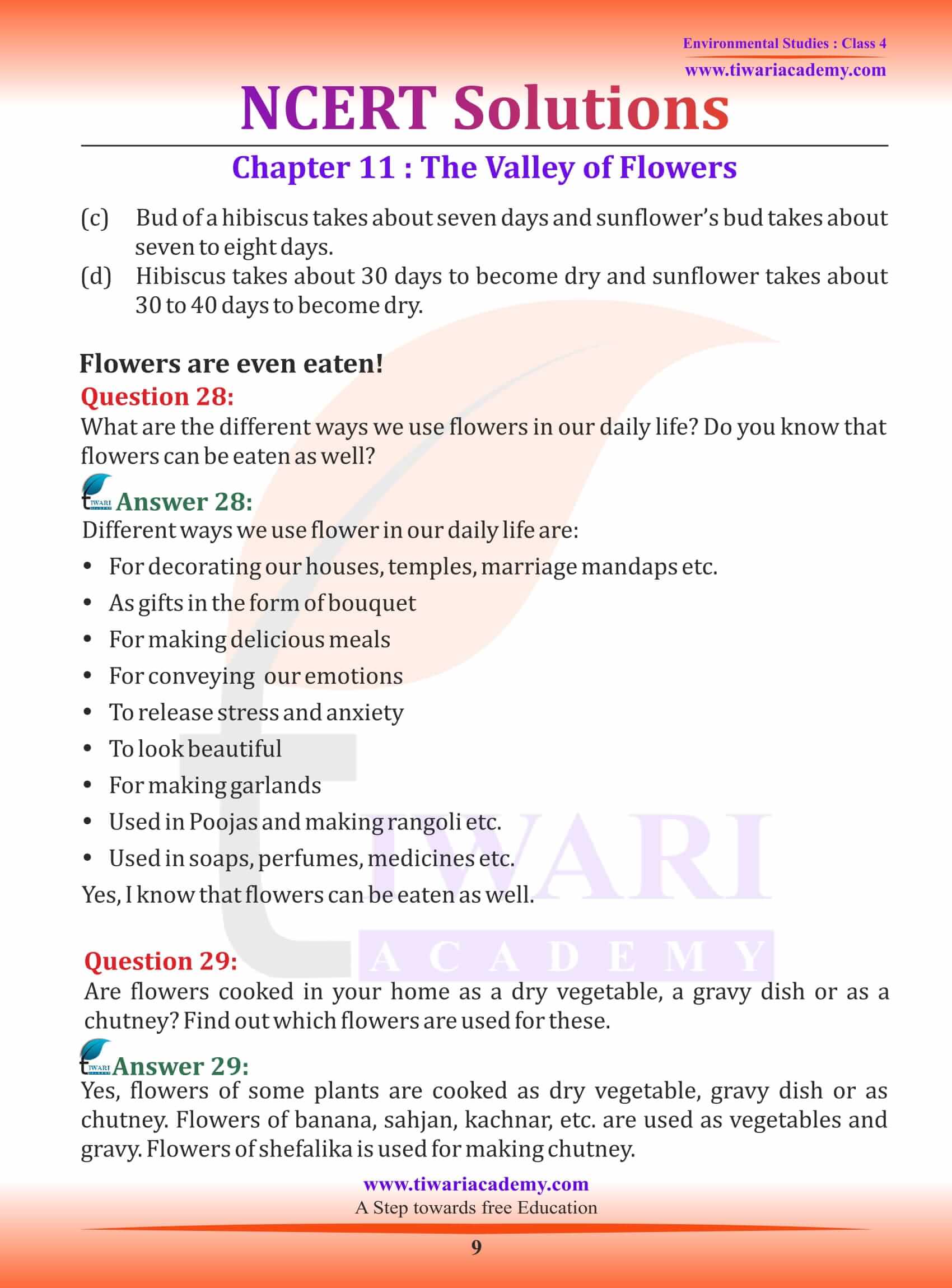 Class 4 EVS Chapter 11 NCERT Sols