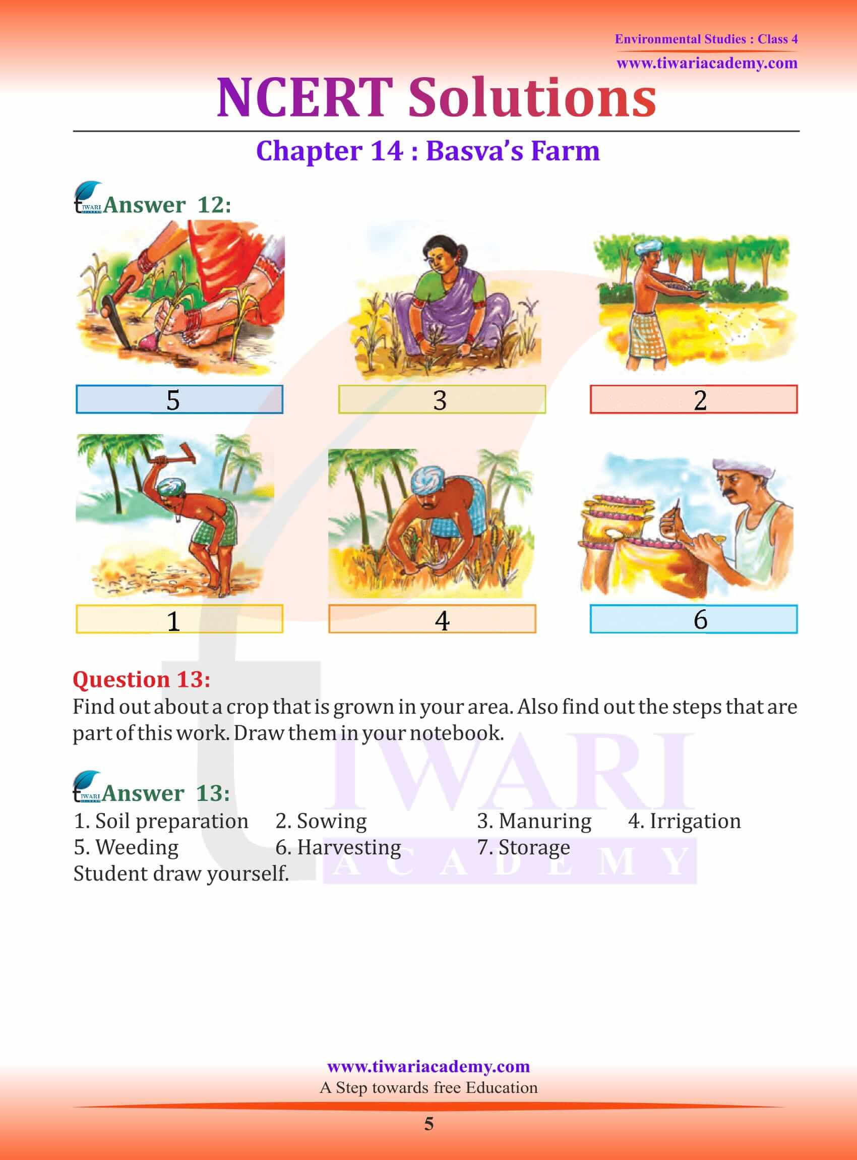 NCERT Solutions for Class 4 EVS Chapter 14 guide