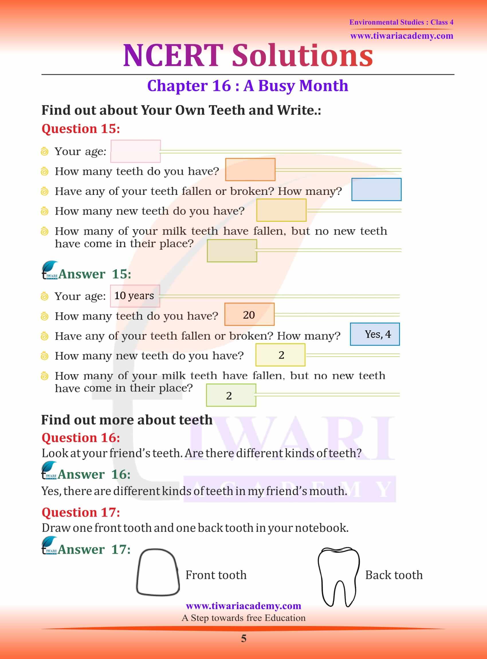 NCERT Solutions for Class 4 EVS Chapter 16 guide