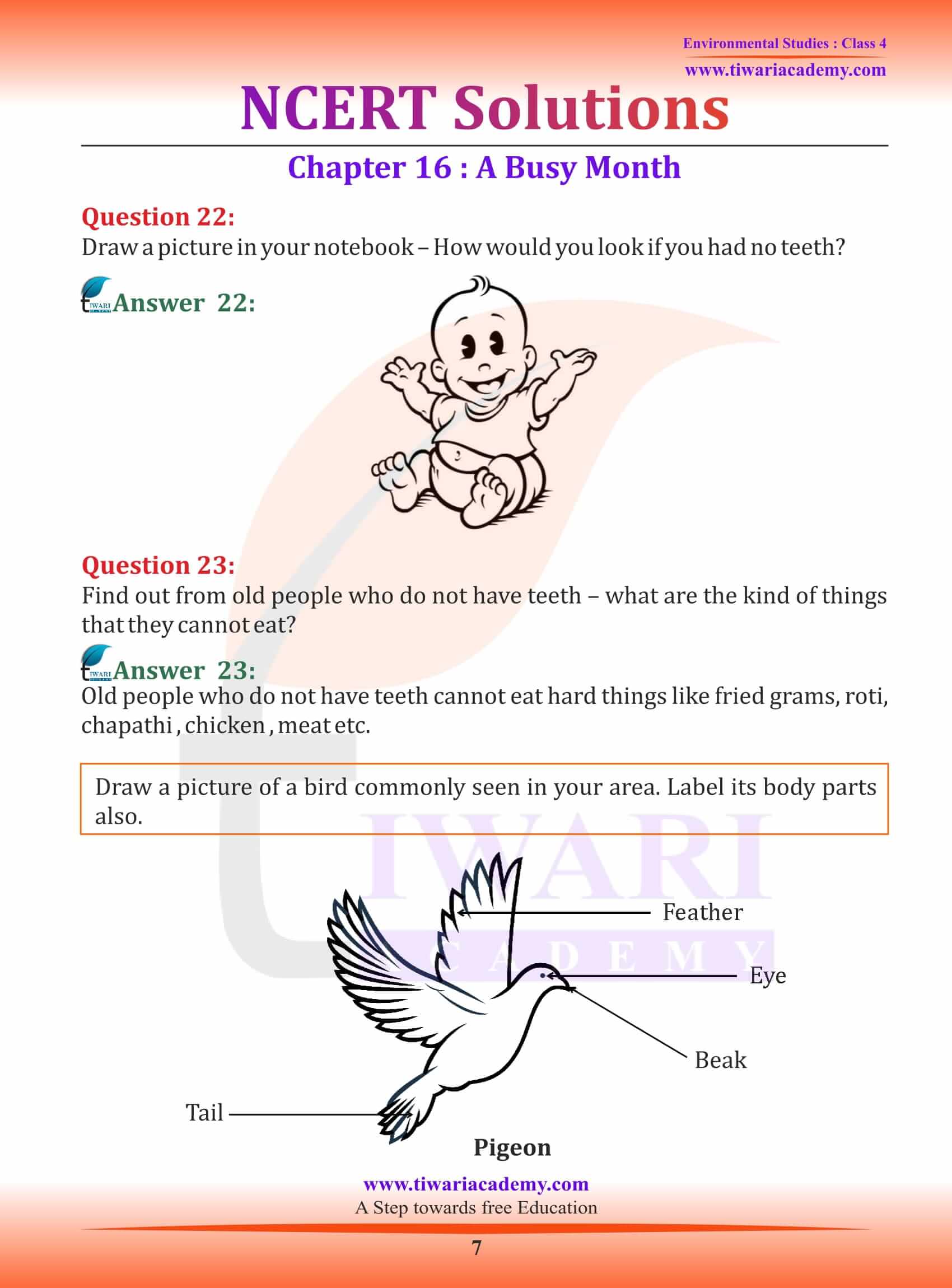 NCERT Solutions for Class 4 EVS Chapter 16 ans