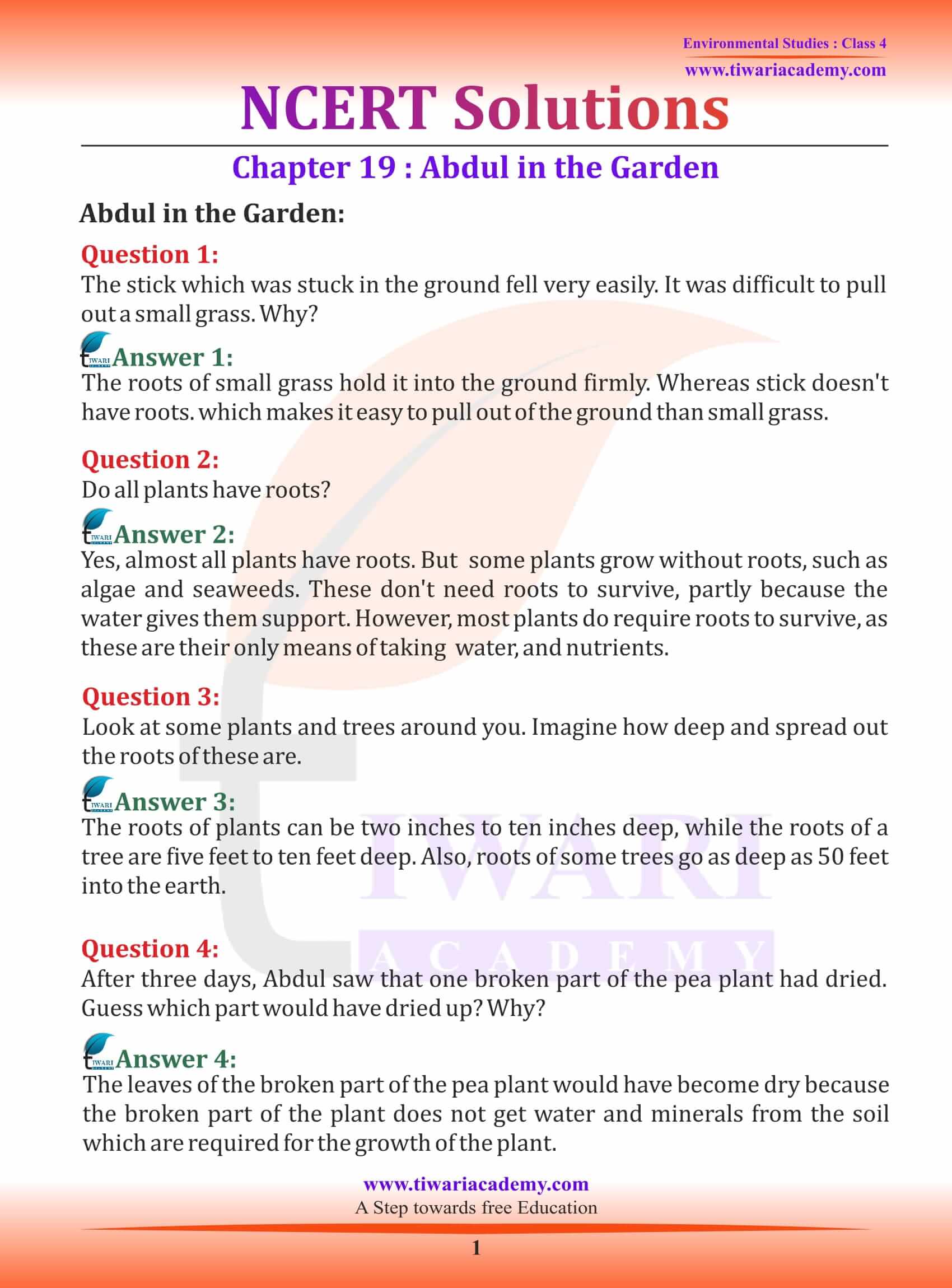 NCERT Solutions for Class 4 EVS Chapter 19 Abdul in the Garden