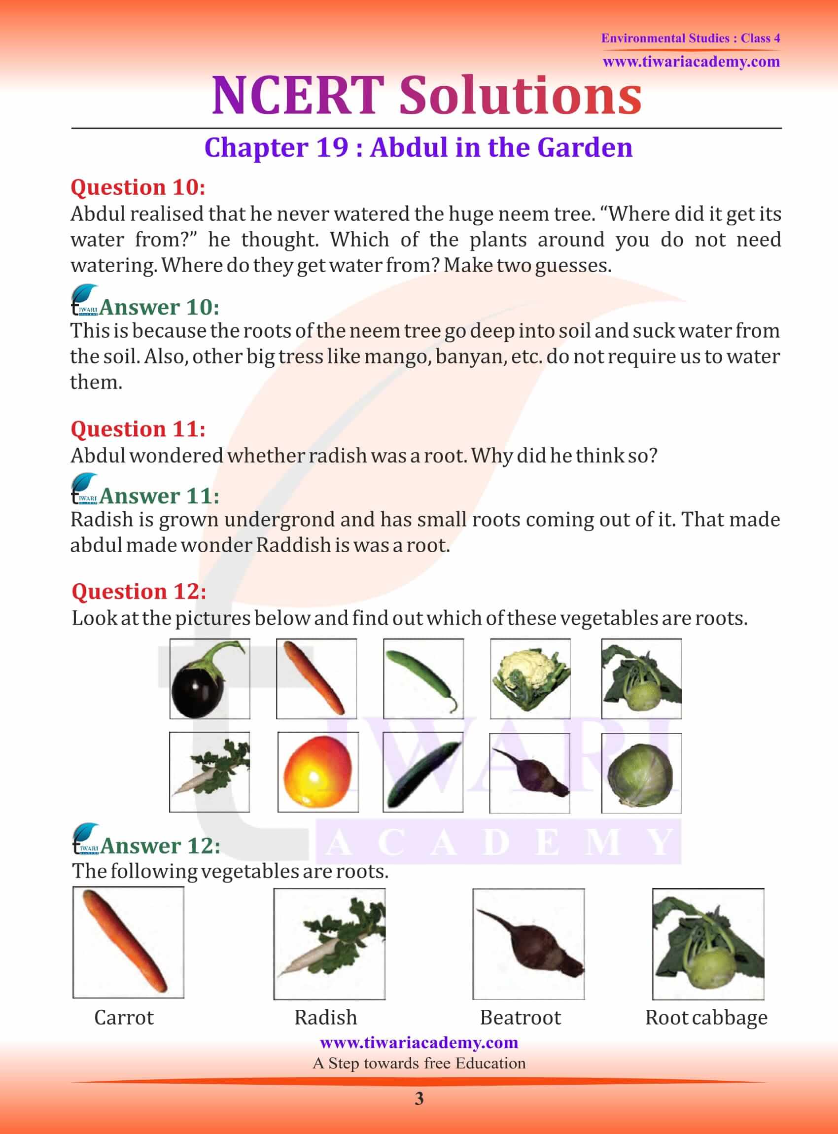 NCERT Solutions for Class 4 EVS Chapter 19