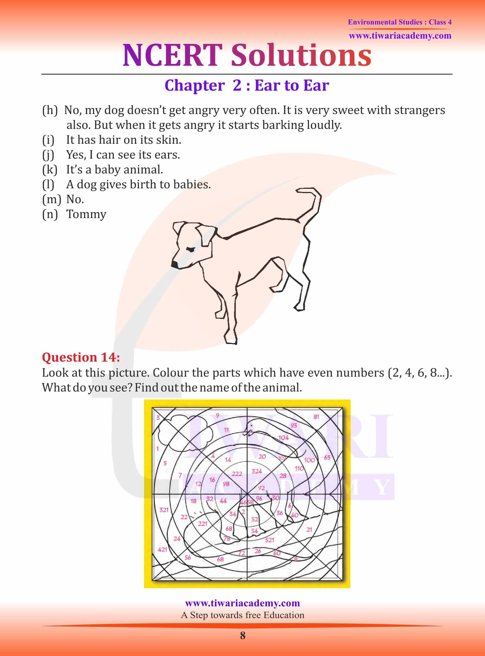 NCERT Solutions for Class 4 EVS Chapter 2 textbook answers
