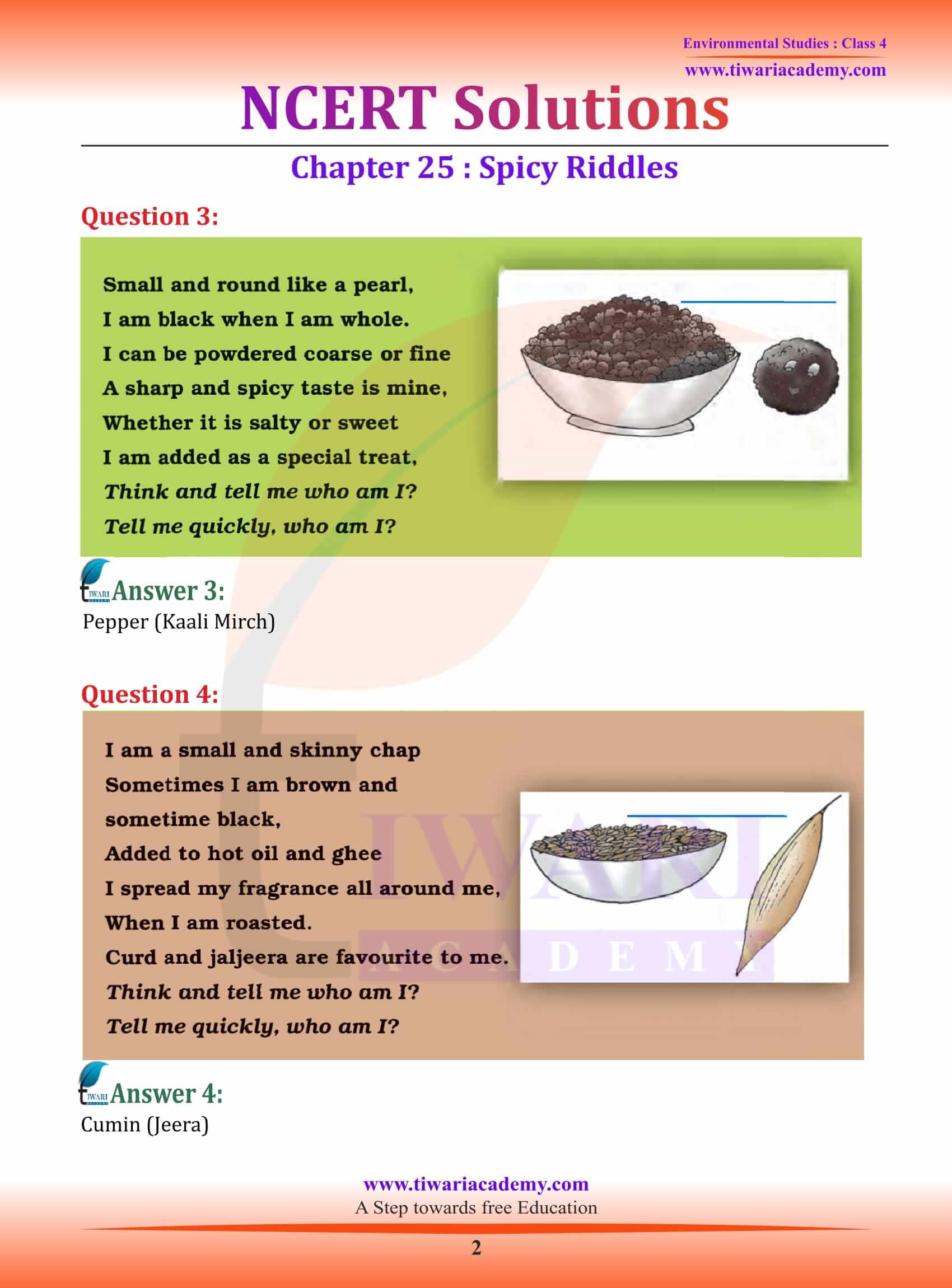 Class 4 EVS Chapter 25 Spicy Riddles