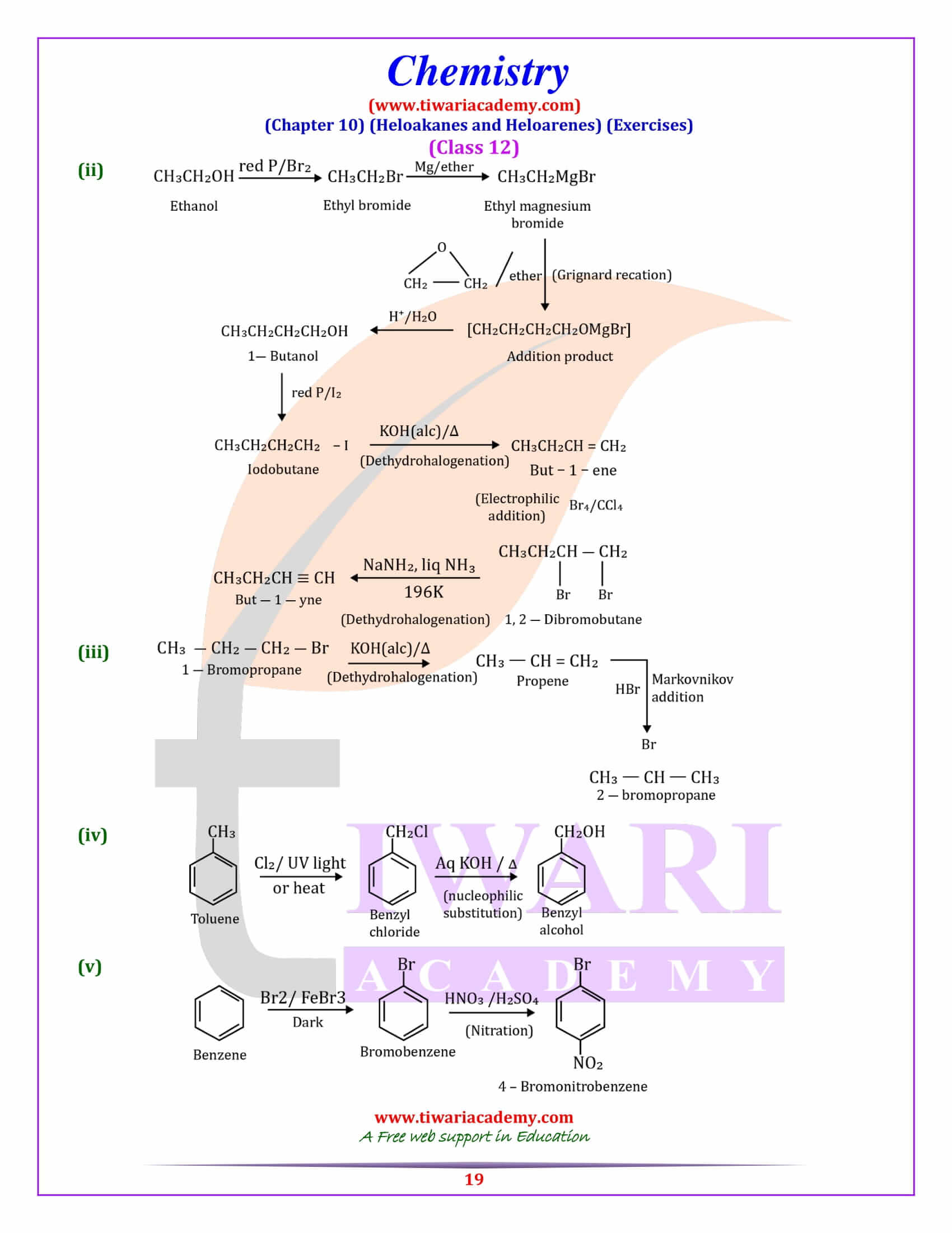 NCERT Solutions for Class 12 Chemistry Chapter 10 for MP board