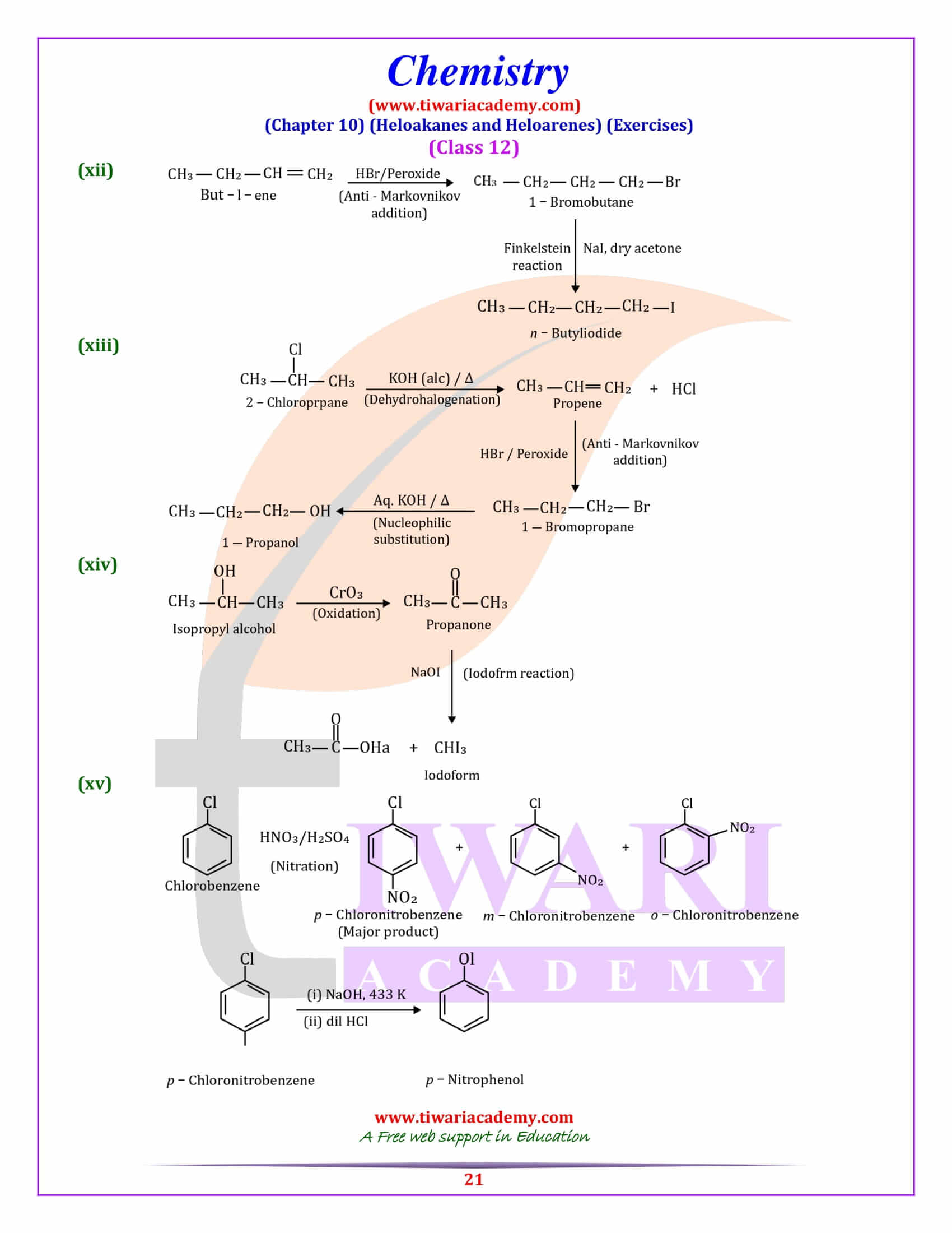 NCERT Solutions for Class 12 Chemistry Chapter 10 for intermediate
