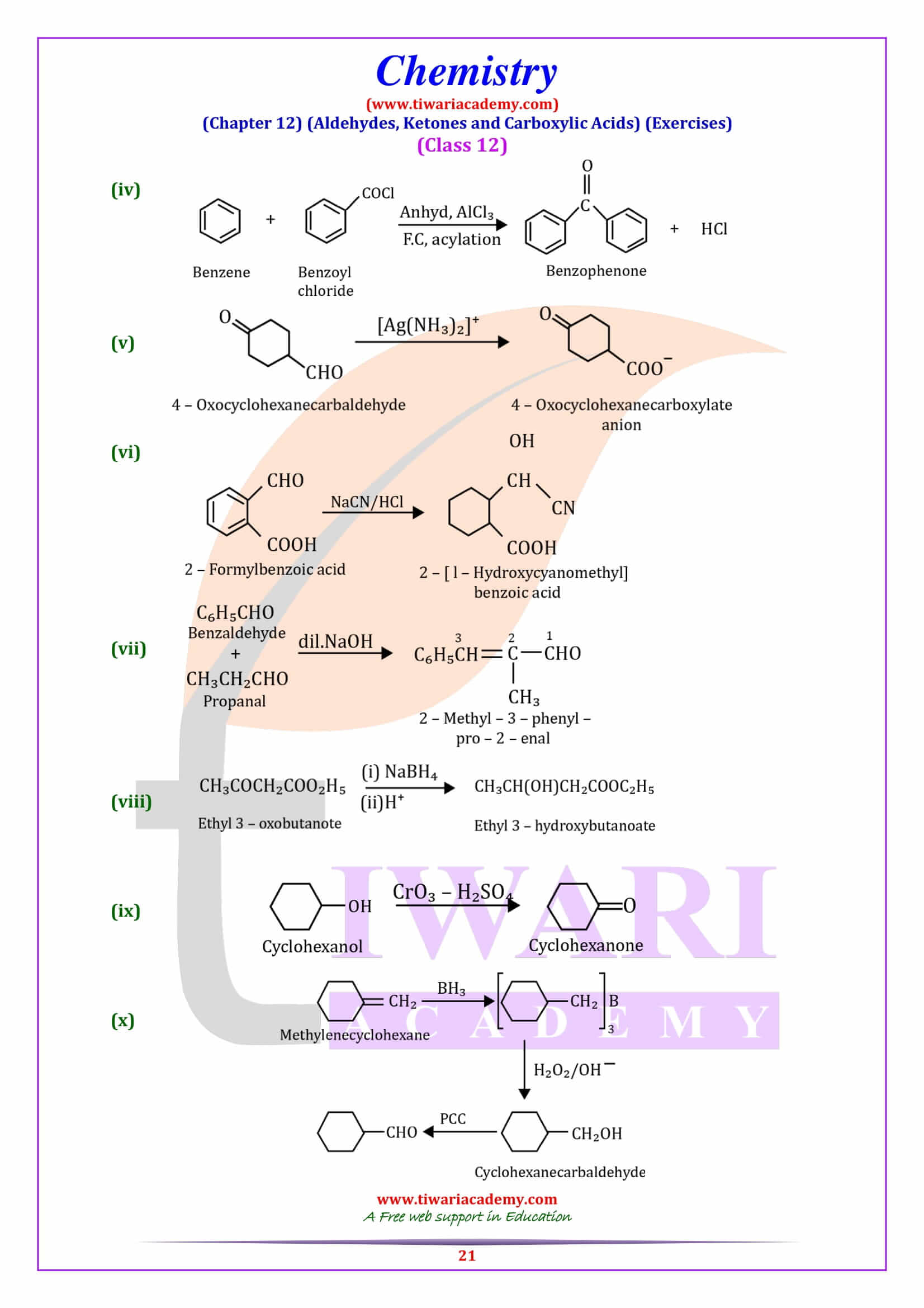 Class XII Chemistry Chapter 12