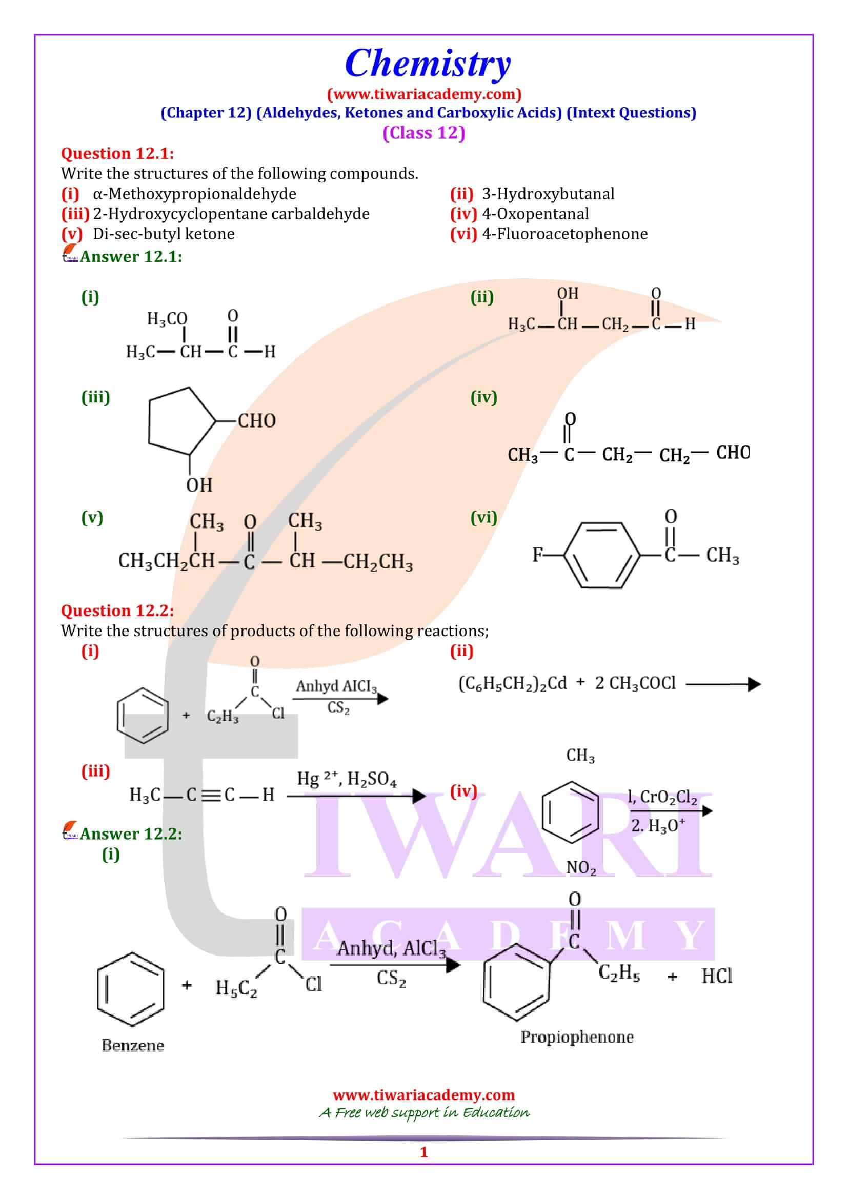 Class 12 Chemistry Chapter 12 Intext Questions