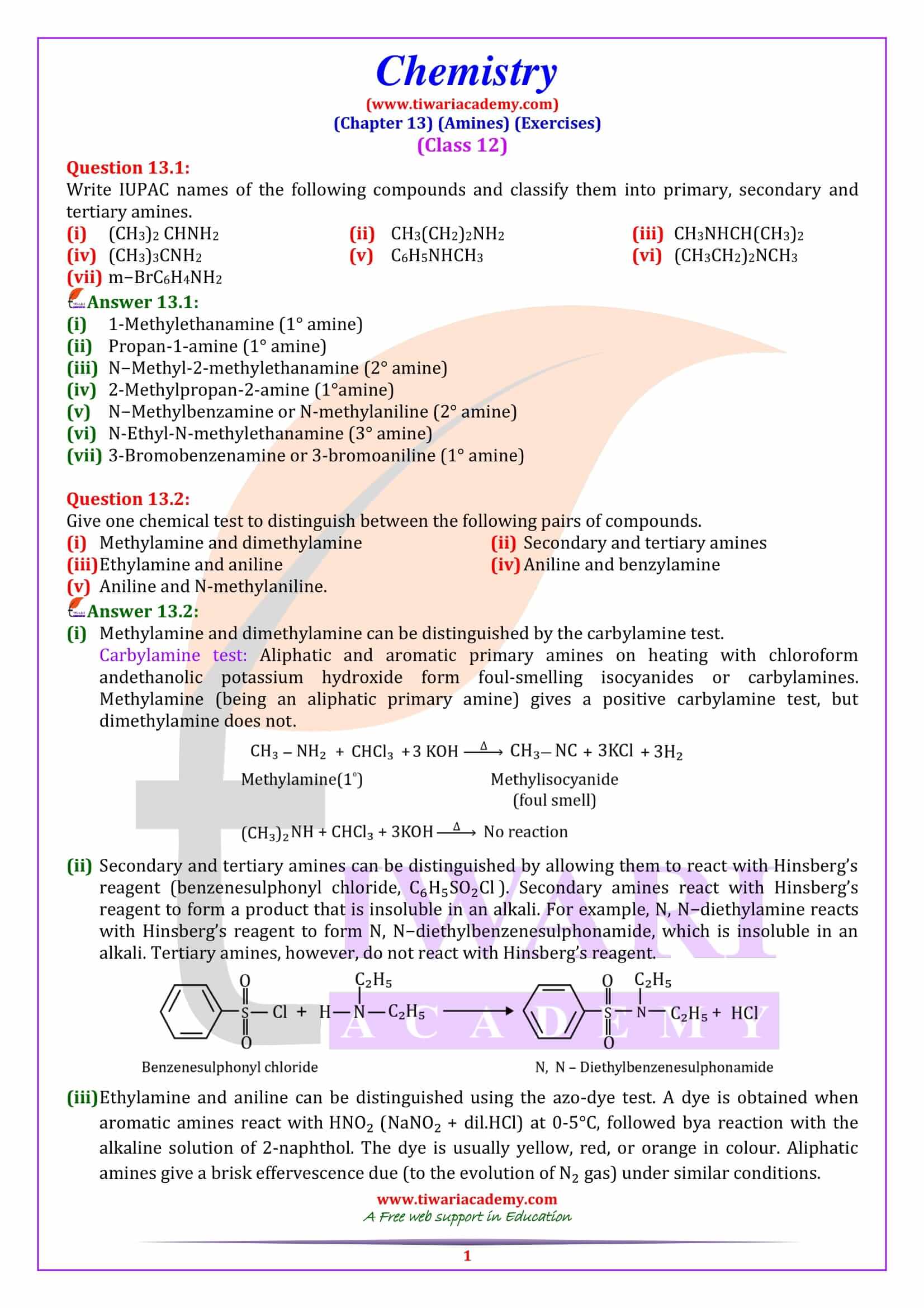 Class 12 Chemistry Chapter 13 Amines