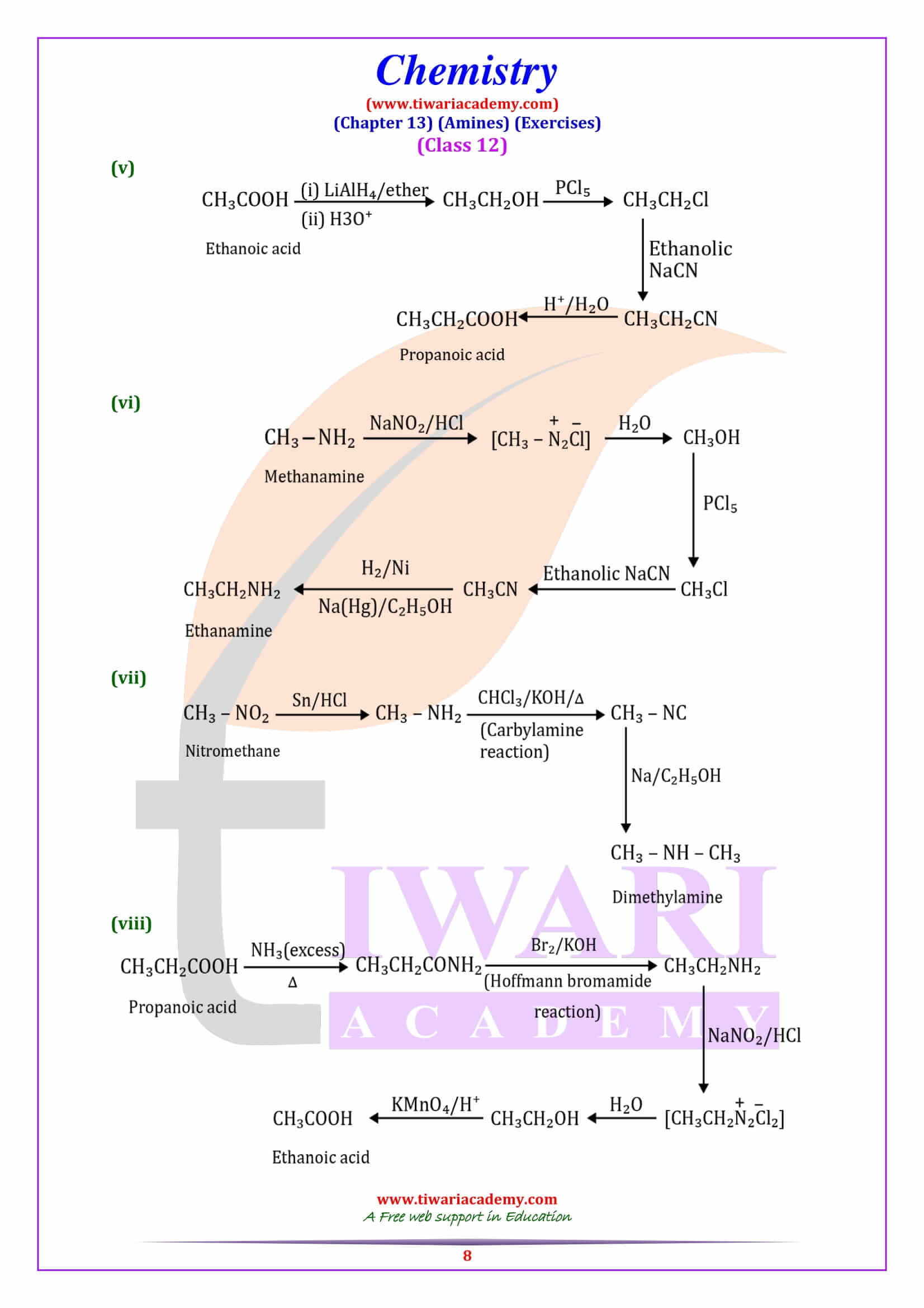 NCERT Solutions for Class 12 Chemistry Chapter 13 free to download