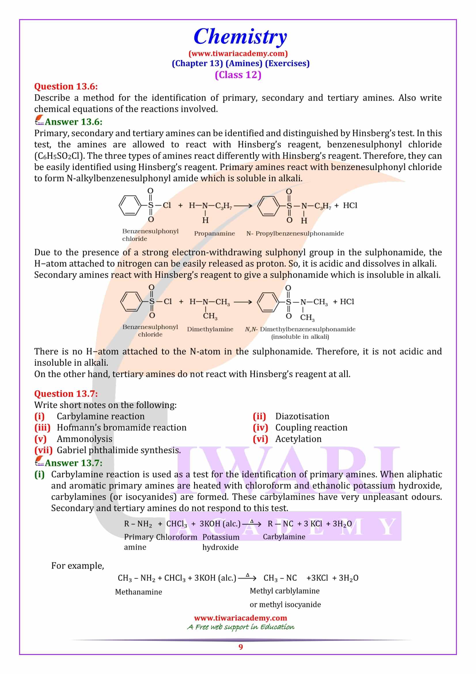 NCERT Solutions for Class 12 Chemistry Chapter 13 extra Questions
