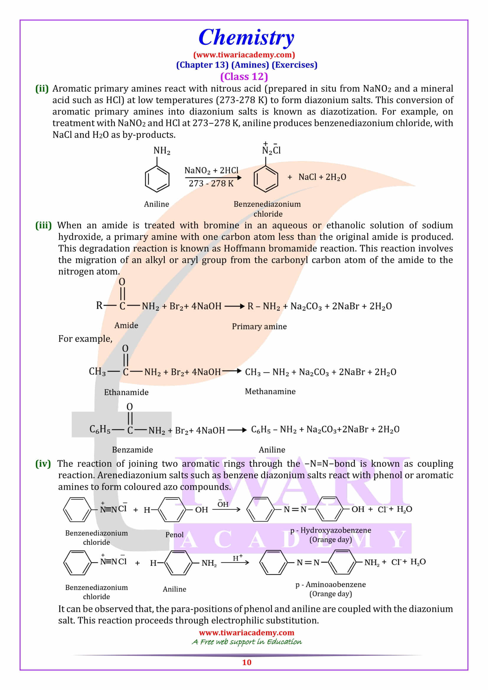 NCERT Solutions for Class 12 Chemistry Chapter 13 guide