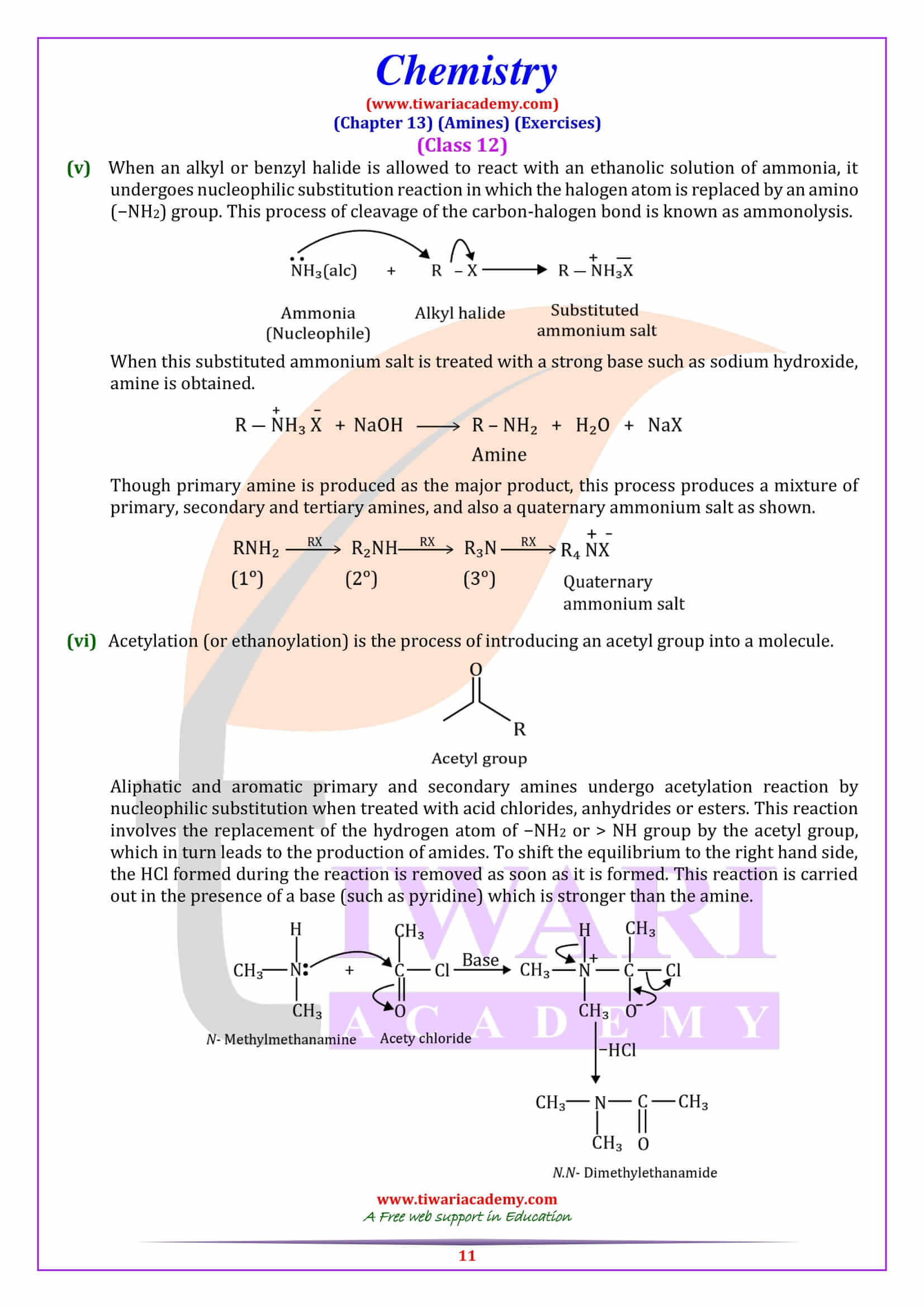 NCERT Solutions for Class 12 Chemistry Chapter 13 free guide