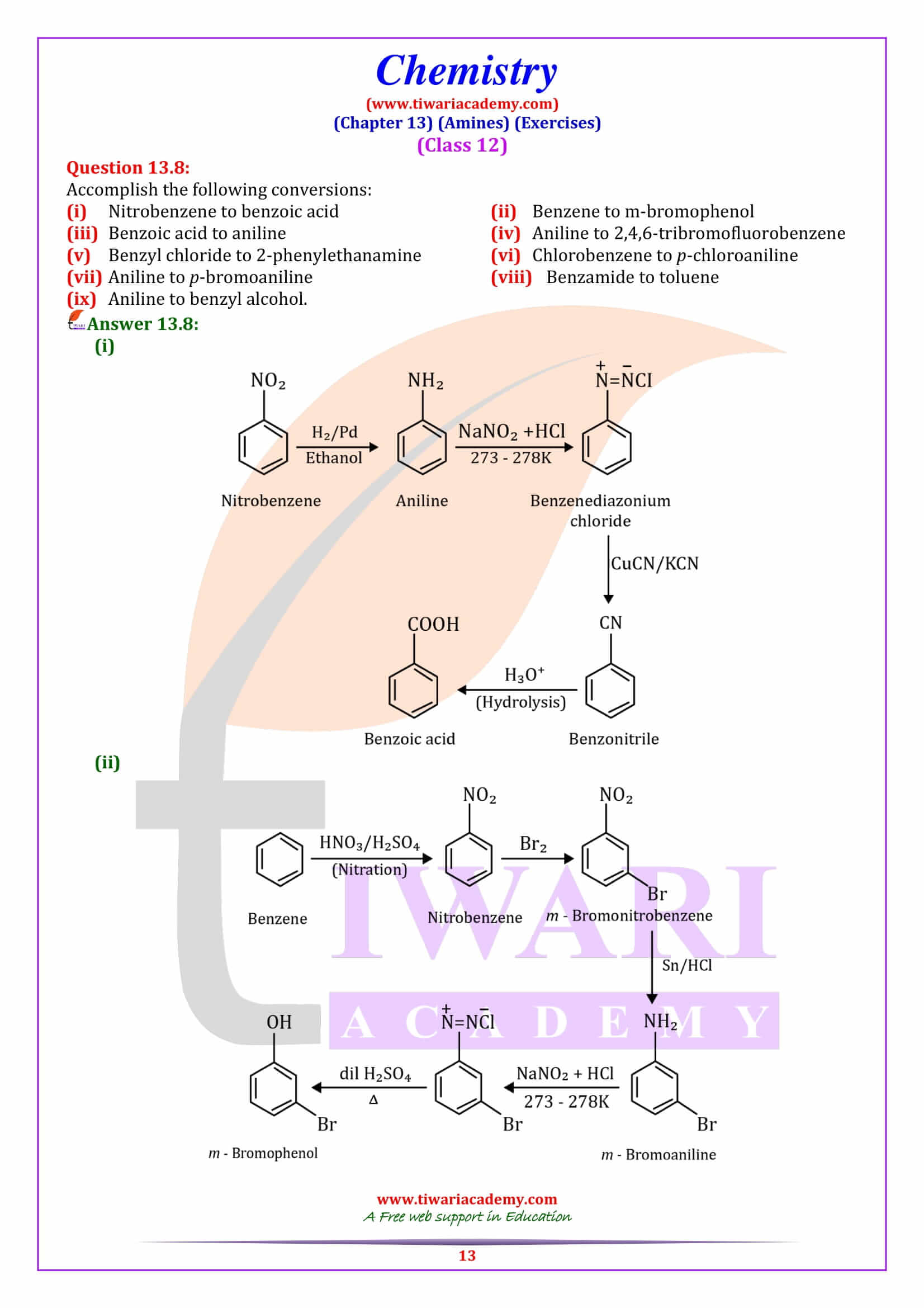 NCERT Solutions for Class 12 Chemistry Chapter 13 answers in English
