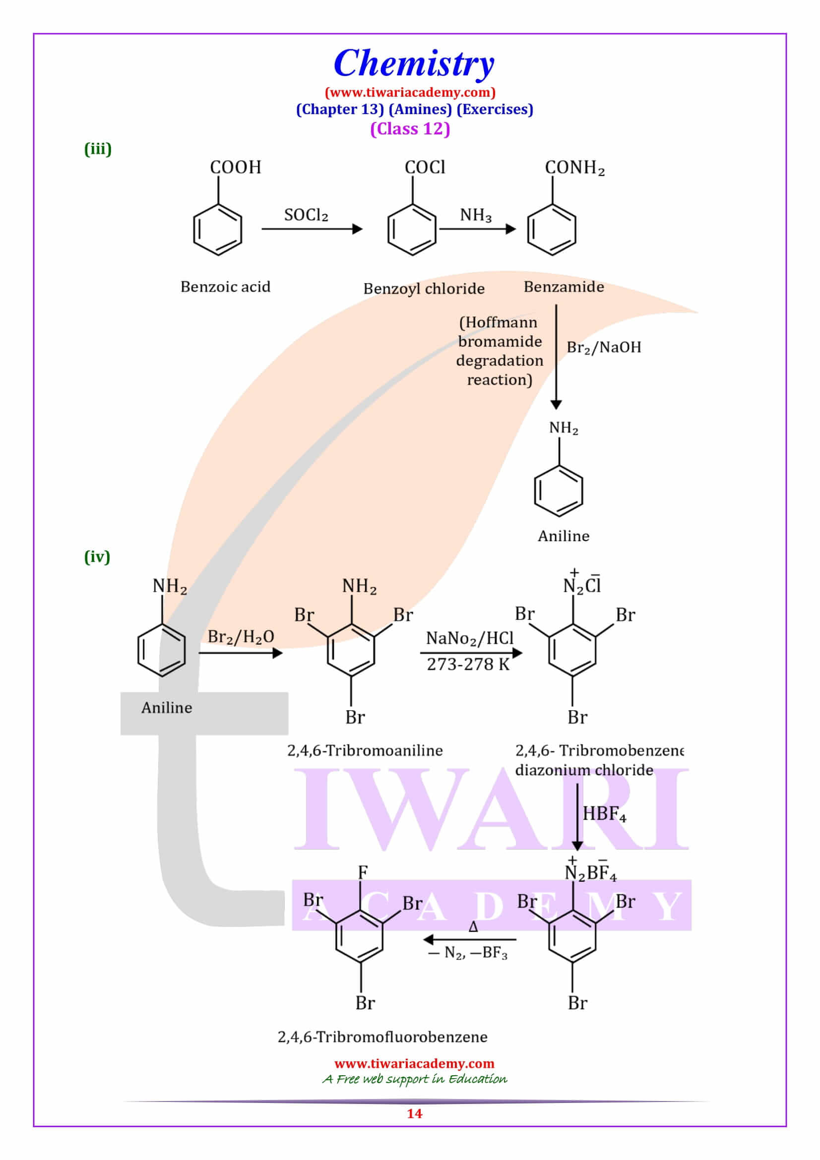 Class 12 Chemistry Chapter 13
