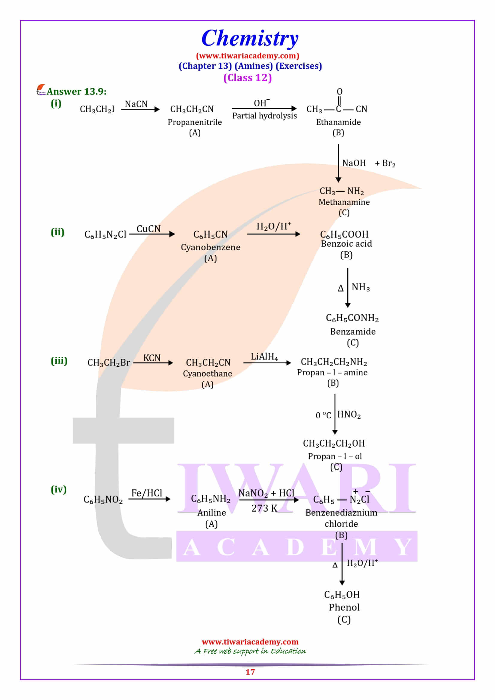 Class 12 Chemistry Chapter 13 answers free