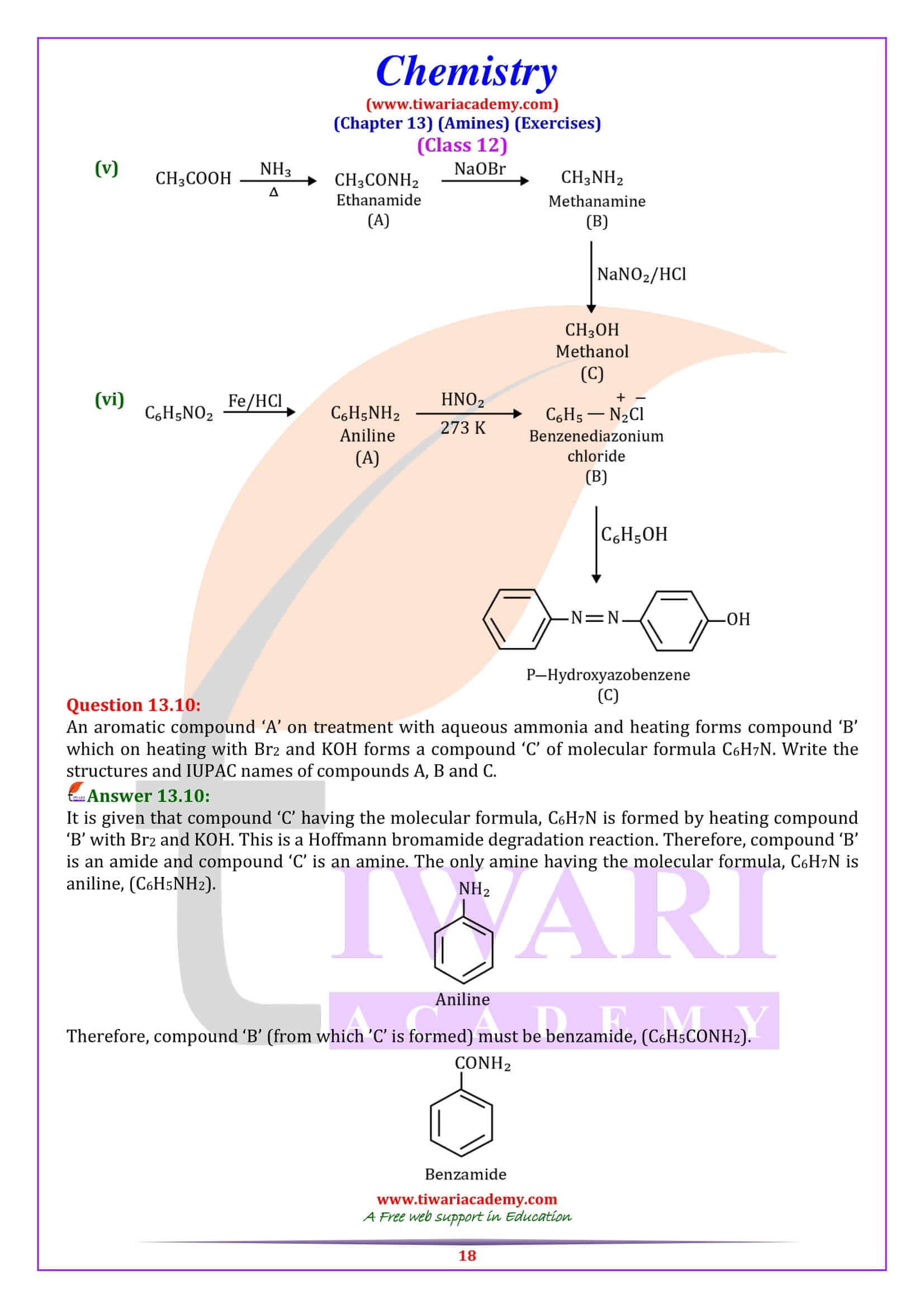 Class 12 Chemistry Chapter 13 free download