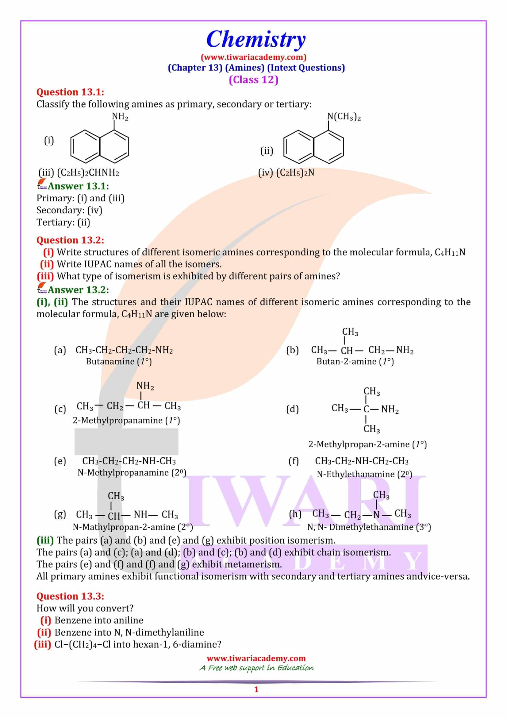Class 12 Chemistry Chapter 13 Intext Questions