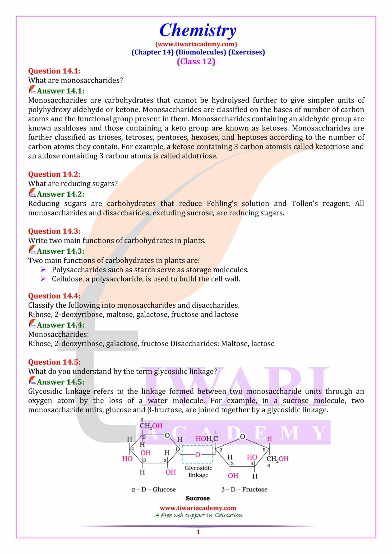 NCERT Solutions for Class 12 Chemistry Chapter 14 Biomolecules