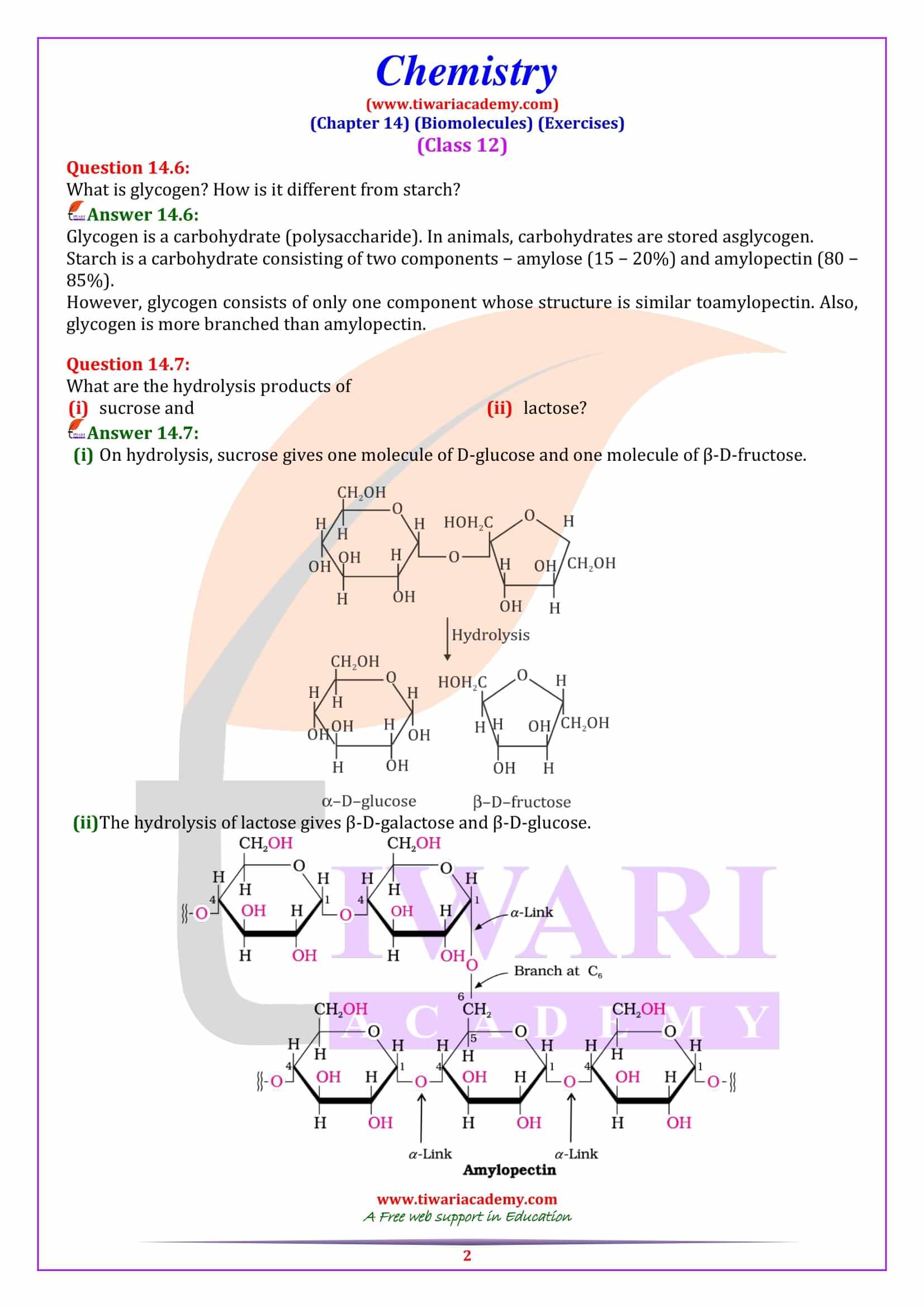 NCERT Solutions for Class 12 Chemistry Chapter 14 Biomolecules