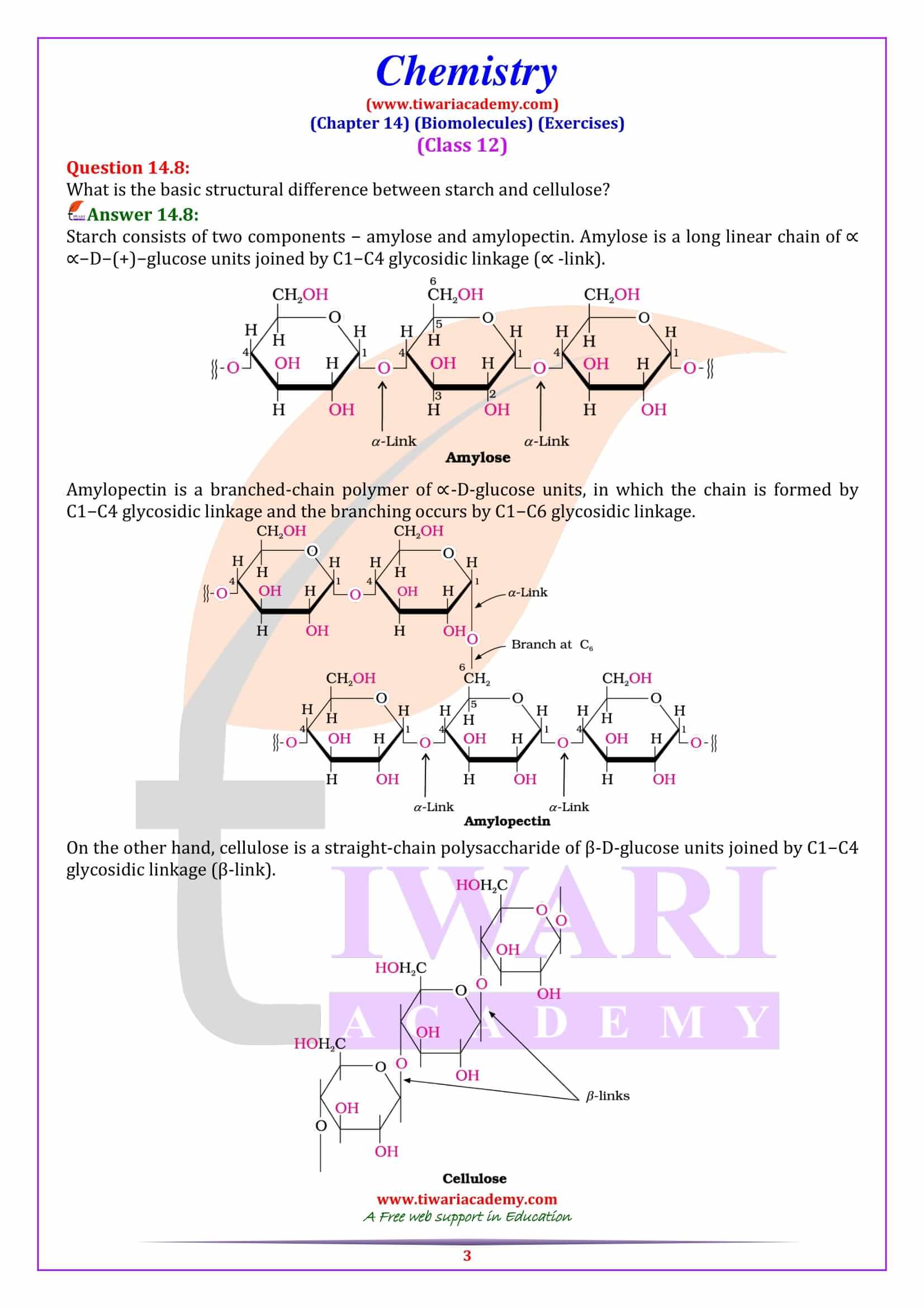 12th Chemistry Chapter 14 Biomolecules