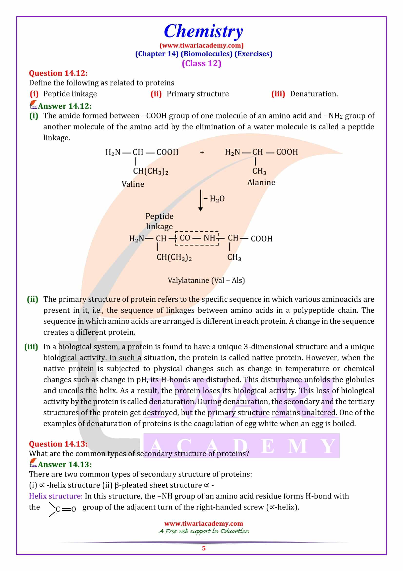 NCERT Solutions for Class 12 Chemistry Chapter 14 in English Medium