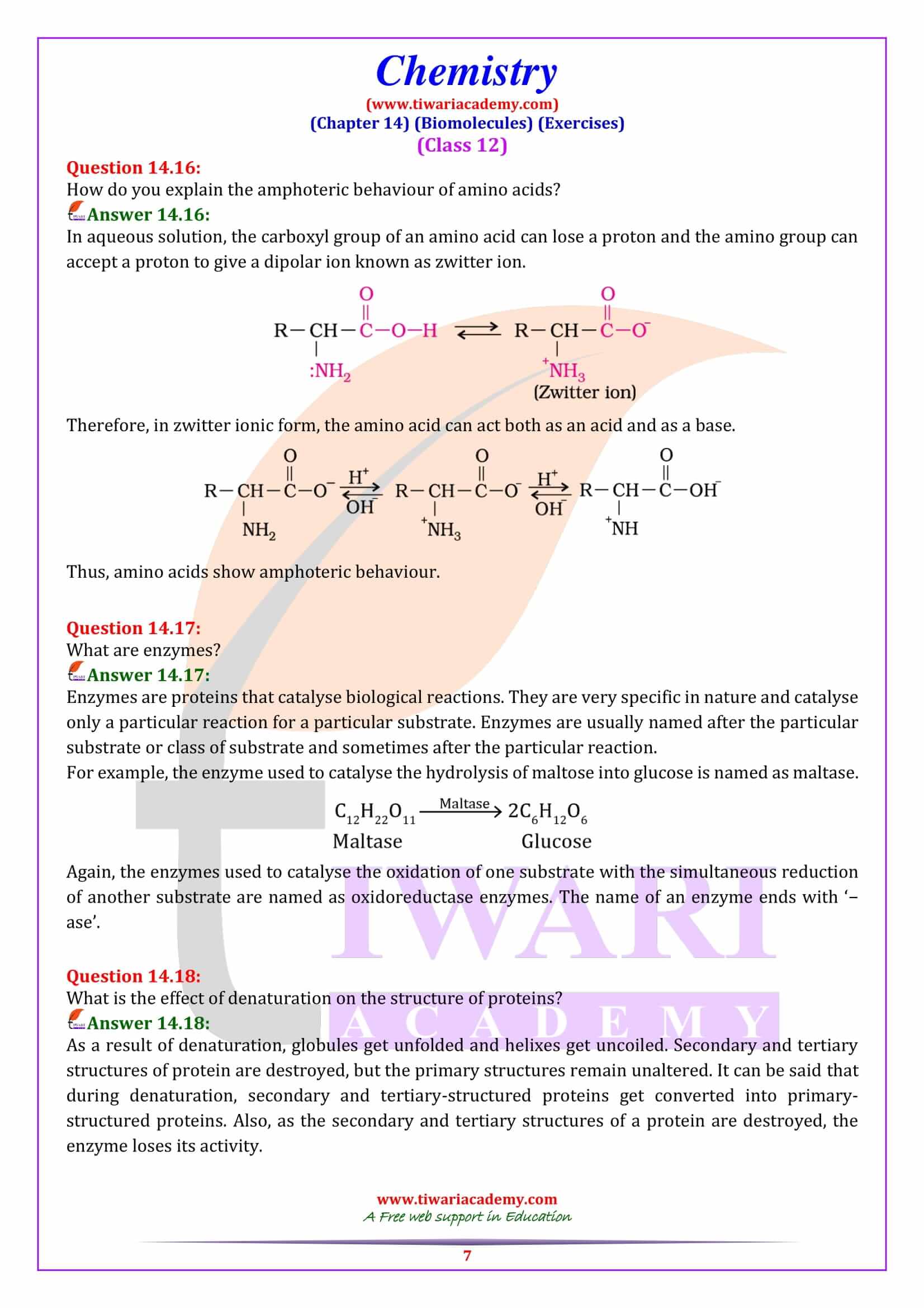 NCERT Solutions for Class 12 Chemistry Chapter 14 Question Answers
