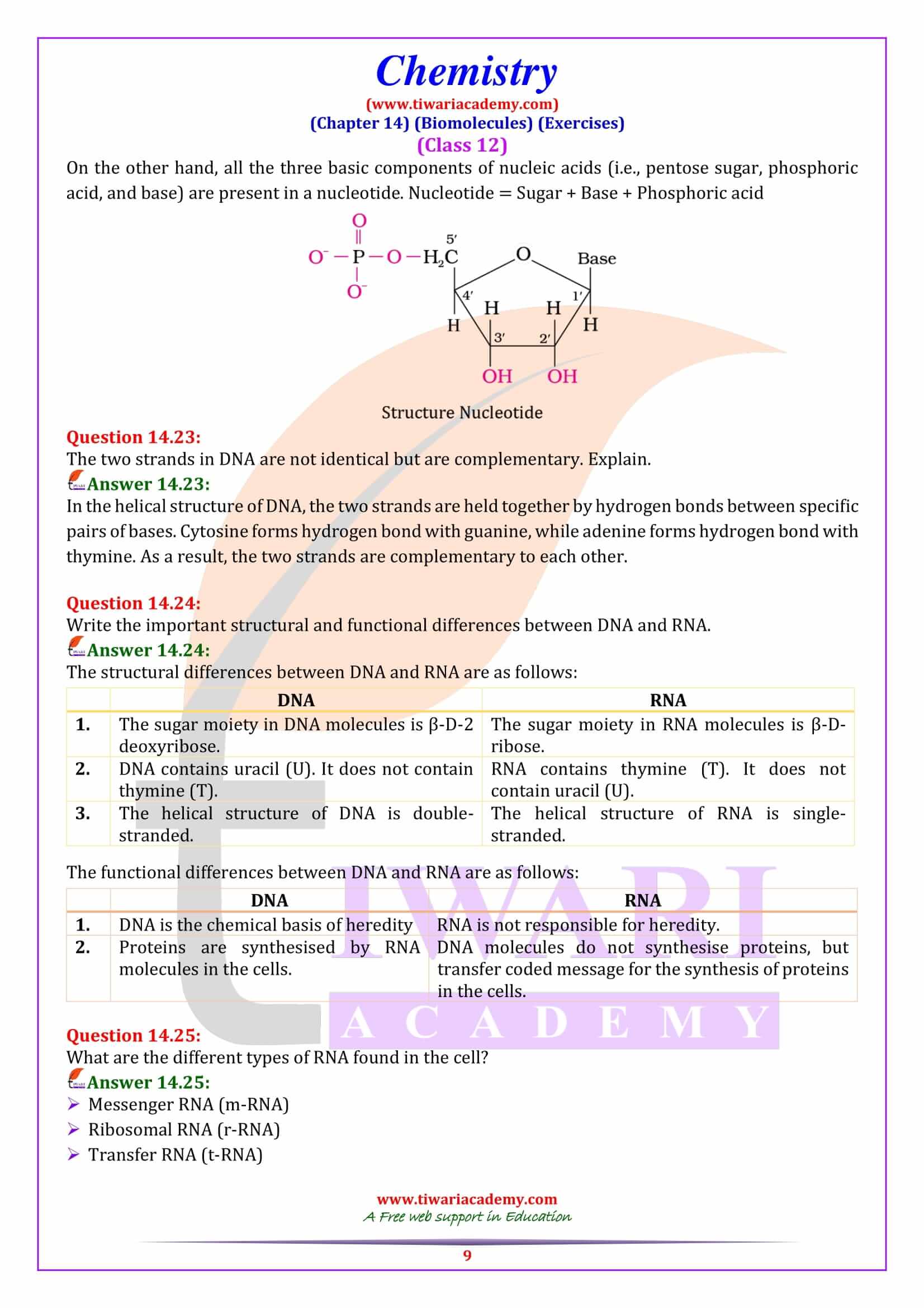 NCERT Solutions for Class 12 Chemistry Chapter 14 Biomolecules