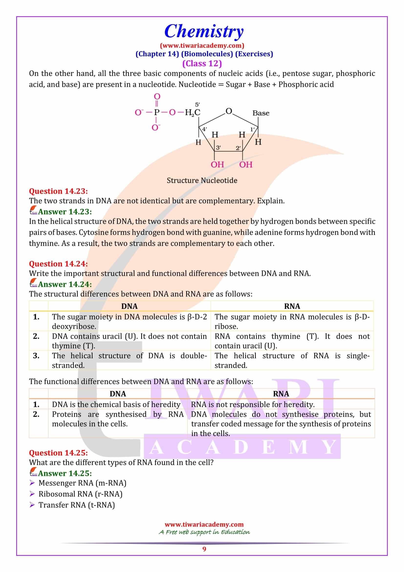 NCERT Solutions for Class 12 Chemistry Chapter 14 Guide