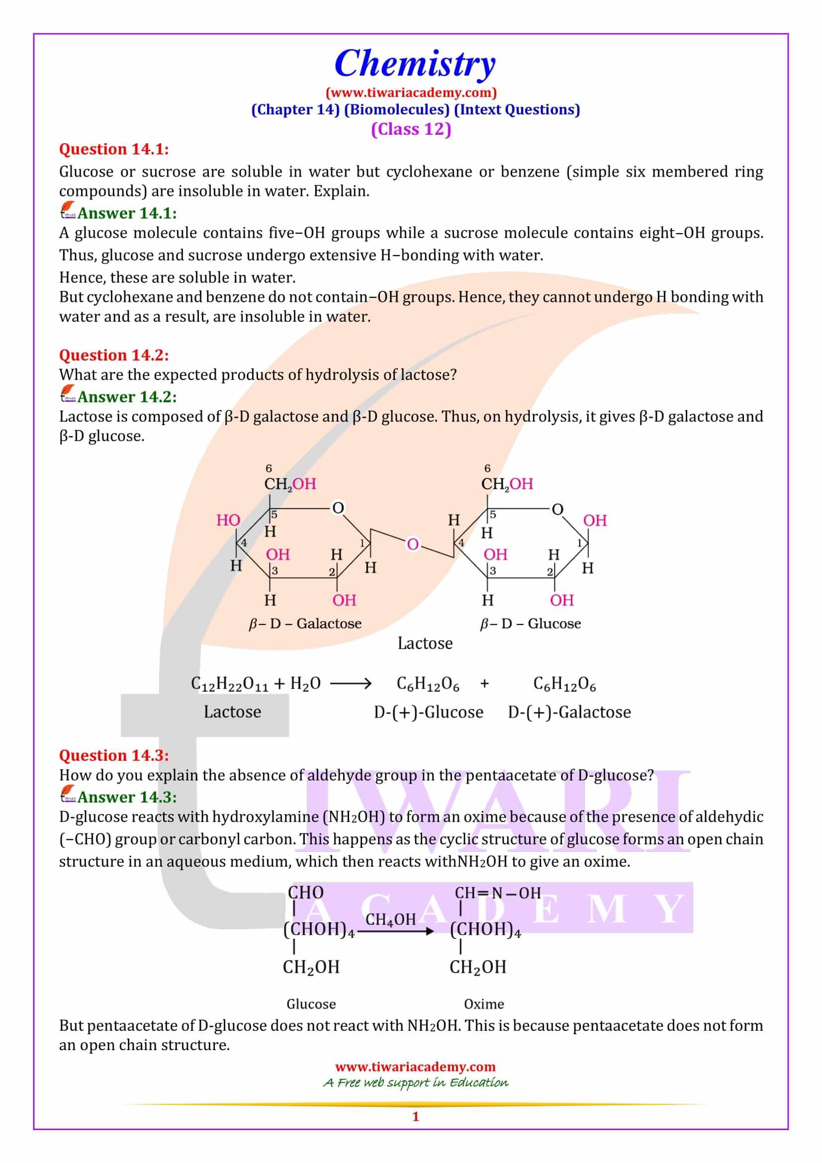 NCERT Solutions for Class 12 Chemistry Chapter 14 Biomolecules