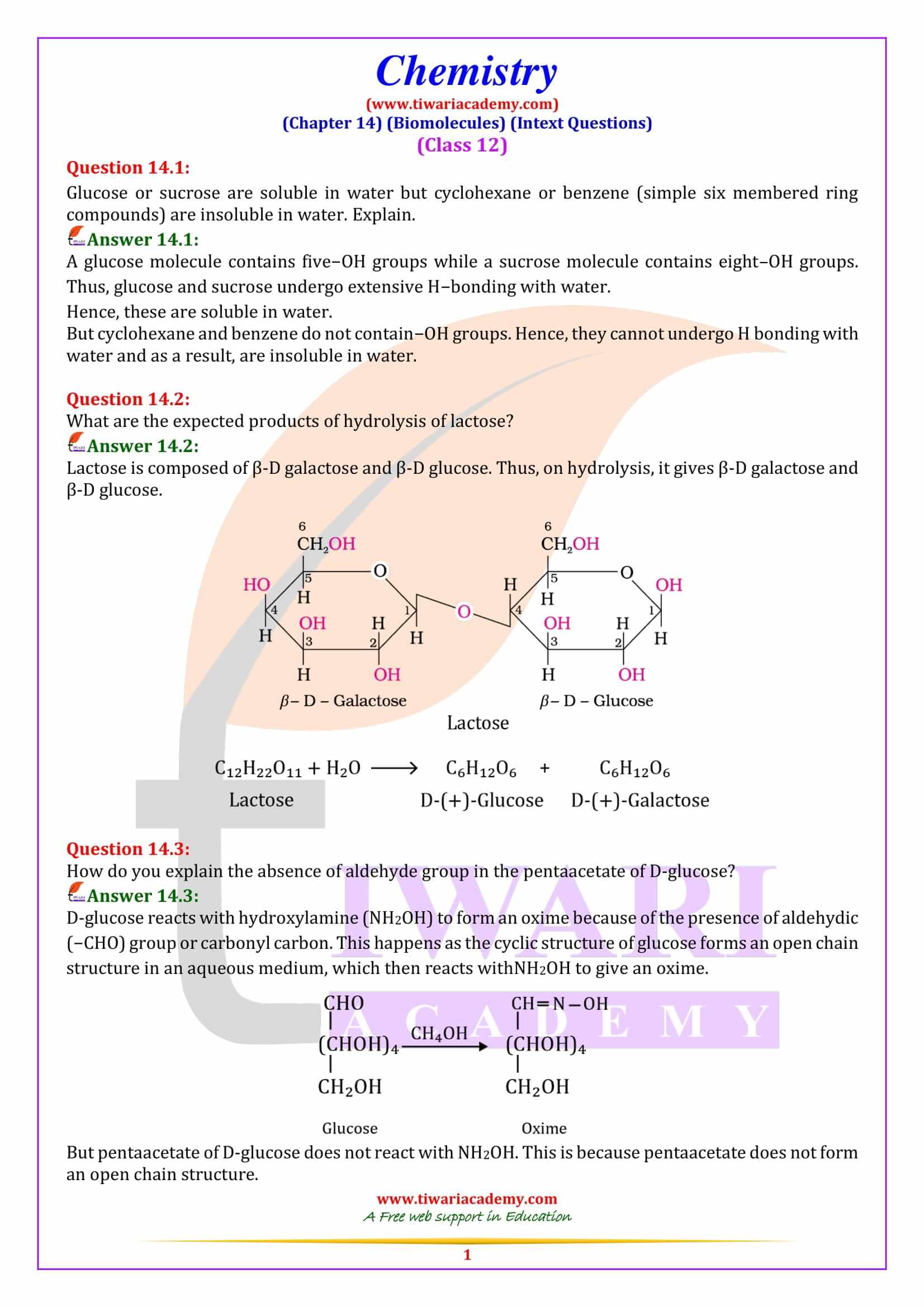 NCERT Solutions for Class 12 Chemistry Chapter 14 Intext
