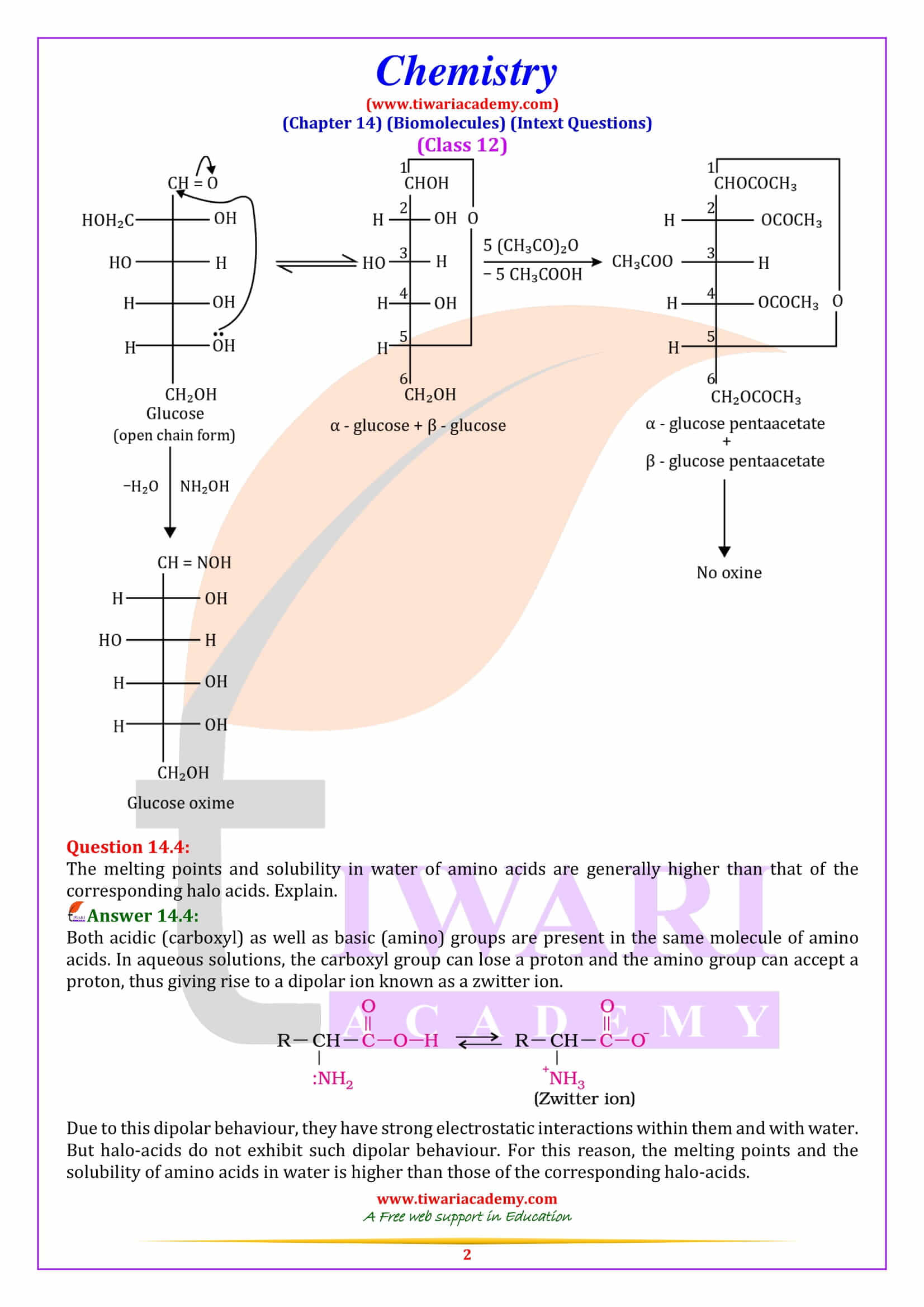 NCERT Solutions for Class 12 Chemistry Chapter 14 Biomolecules