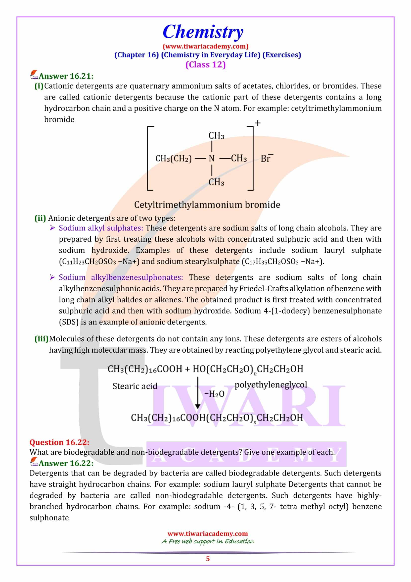 NCERT Solutions for Class 12 Chemistry Chapter 16 Exercises