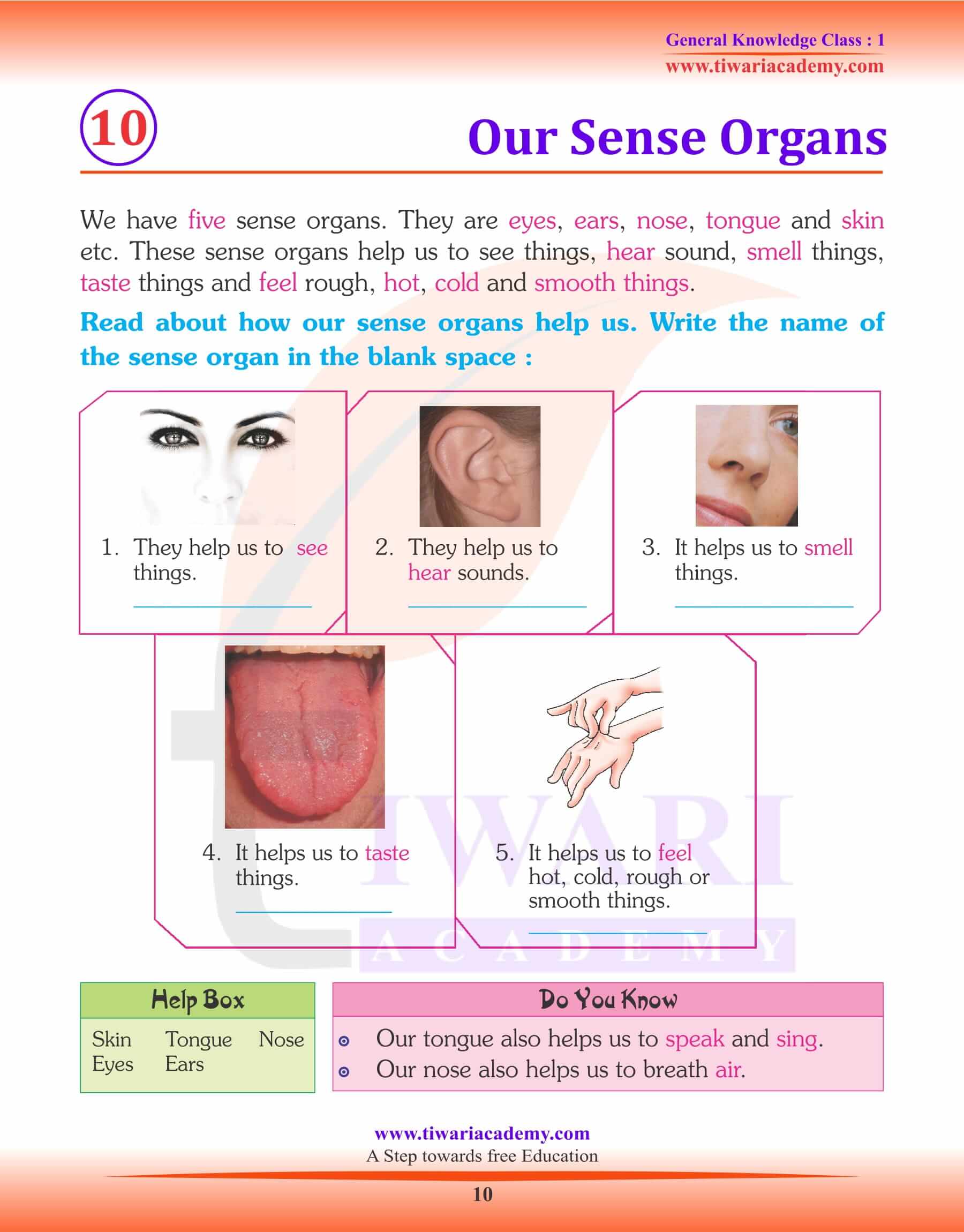 Our Sense Organs